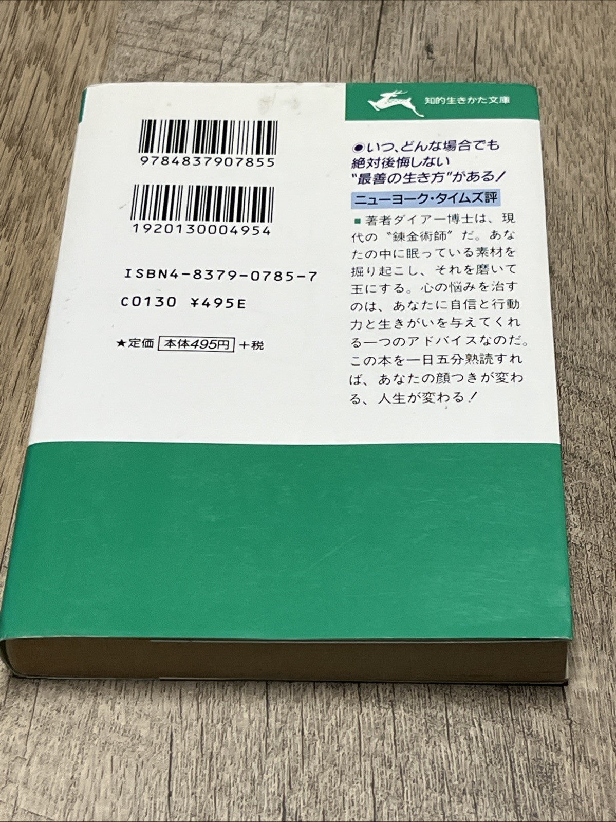 How to Live Your Life! どう生きるか、自分の人生!(文庫本)