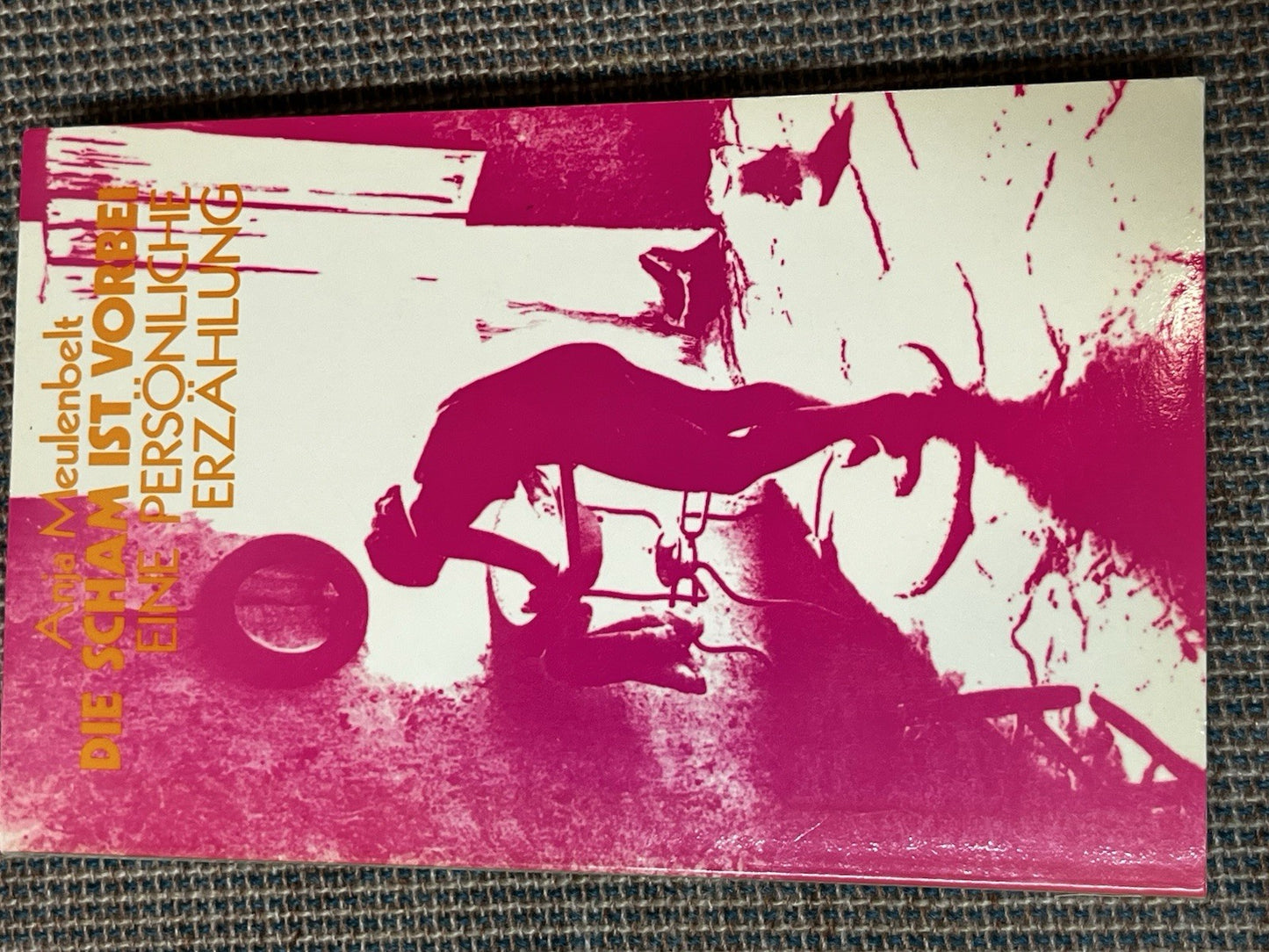 Anja Meulenbelt Die Scham ist vorbei : Eine persönliche Erzahlung. 1983 German