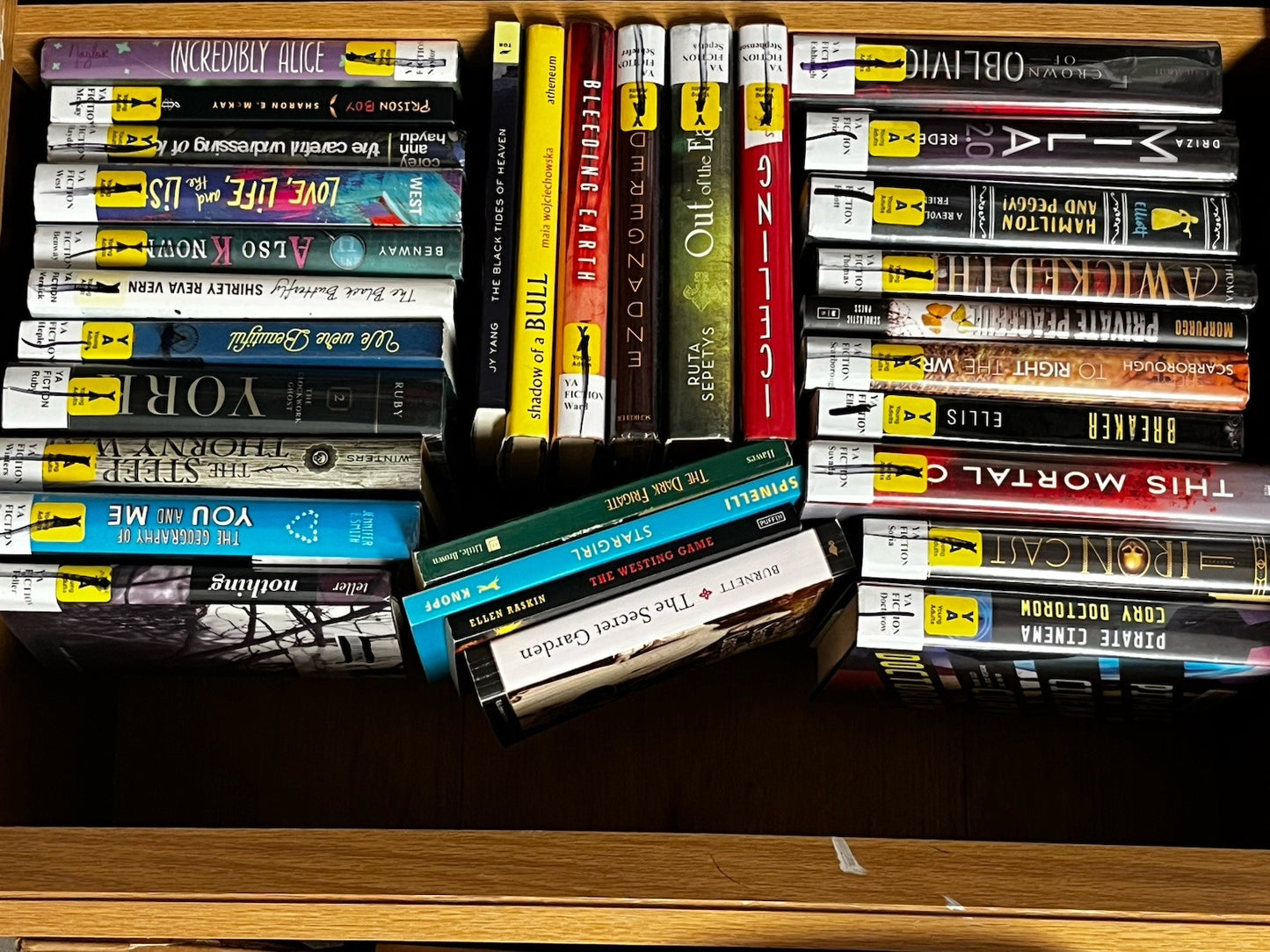 Lot of 10 Young Adults YA PRE-Teen Youth RANDOM STORY CHAPTER UNSORTED BOOKS MIX
