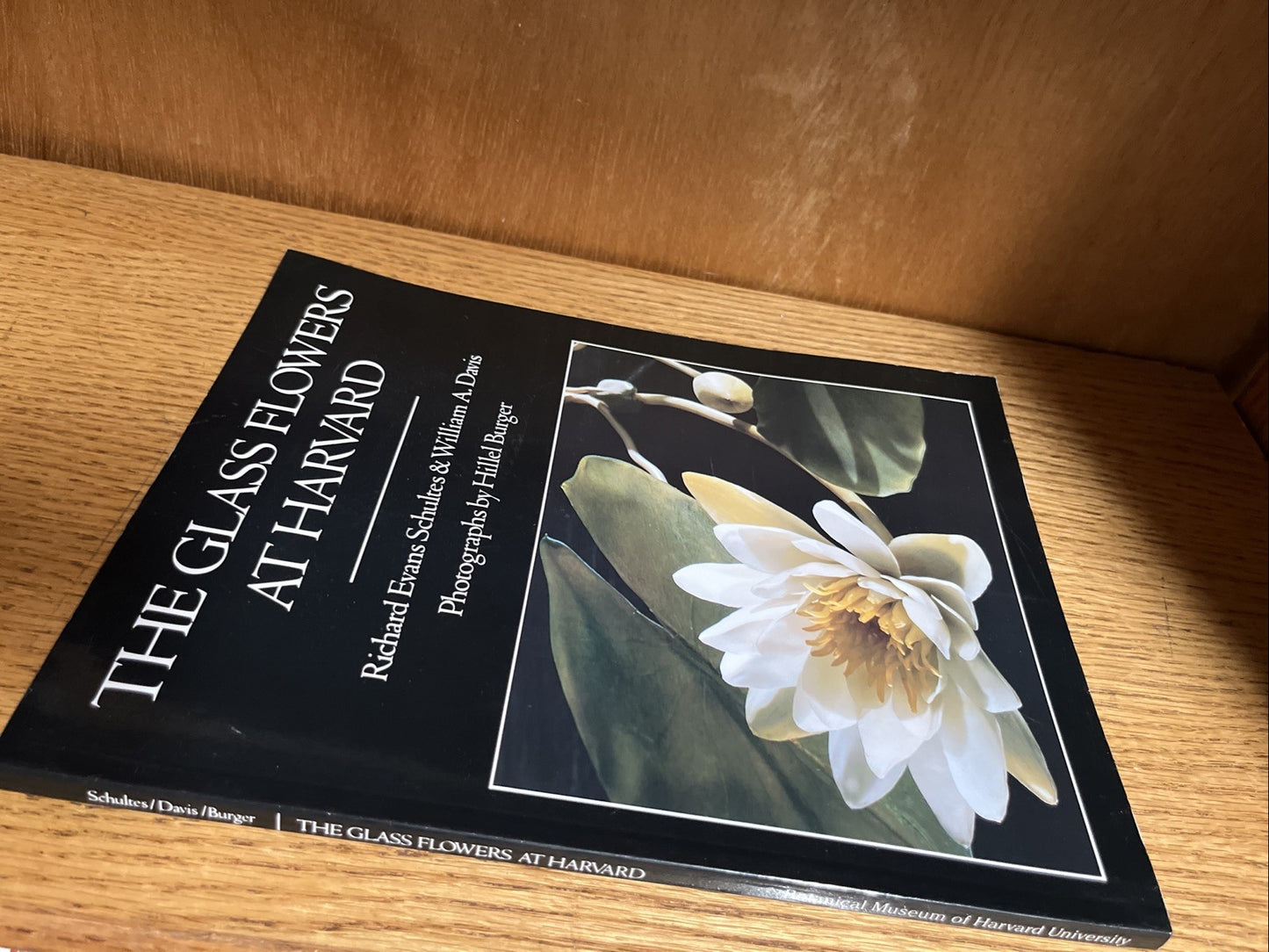 The Glass Flowers at Harvard by Richard Evans Schultes & William A. Davis pb