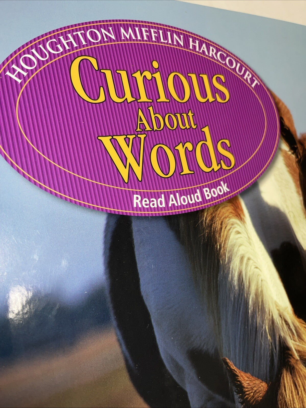 Journeys Ser.: Journeys Vol. 2 : Curious about Words by Houghton Mifflin Company