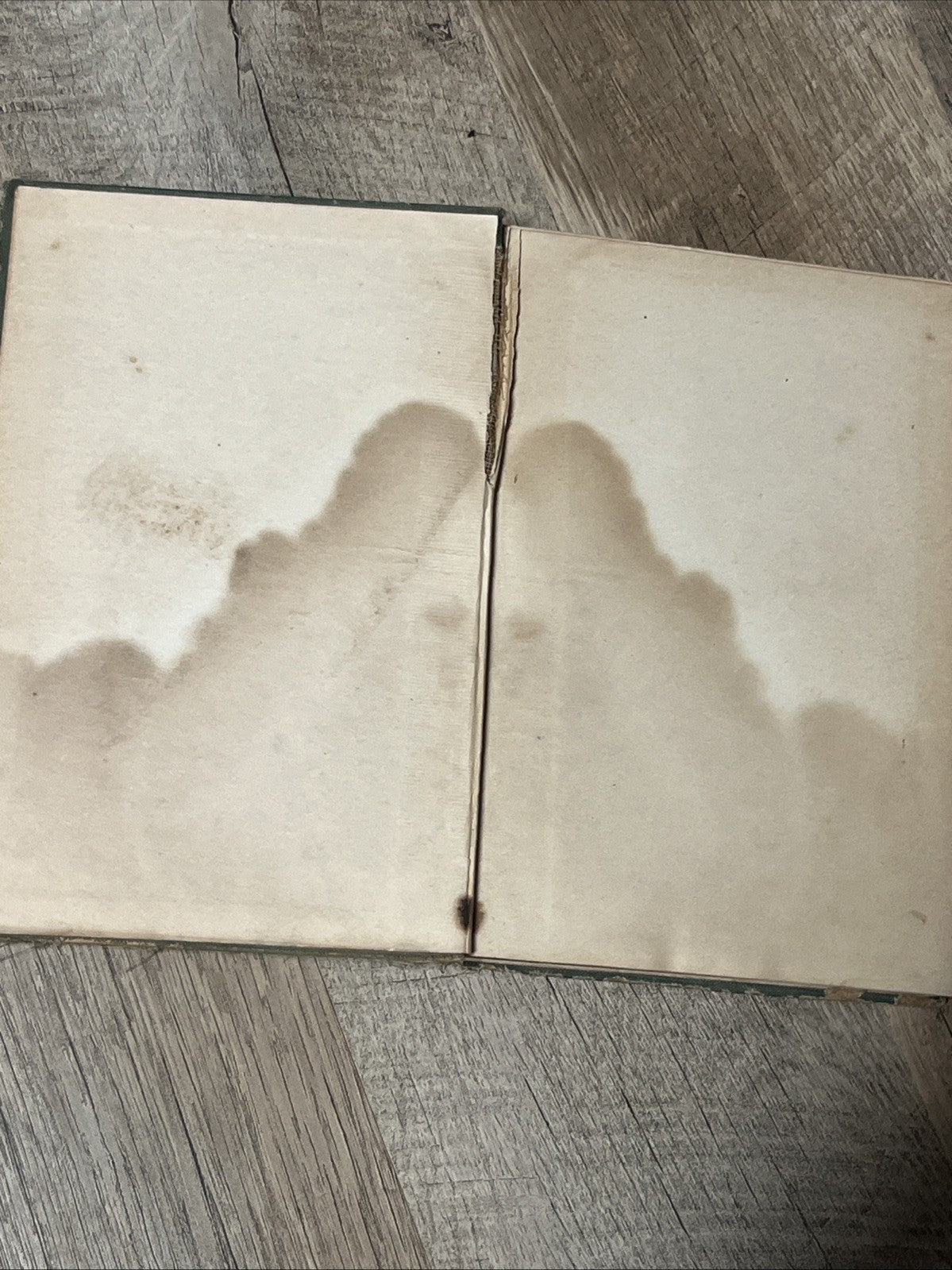 The Beautiful World Pictures of the Epistle to the Ephesians 1st Ed Haynes 1911
