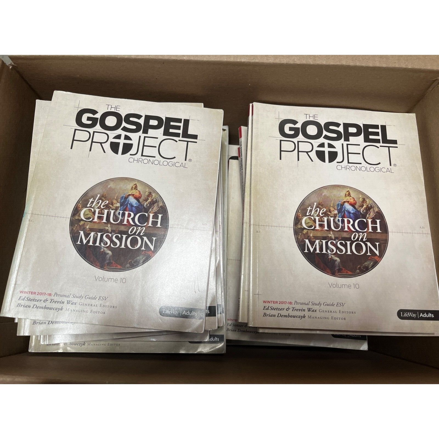 Gospel Project Chronological Volume 10 ( 25 pcs )