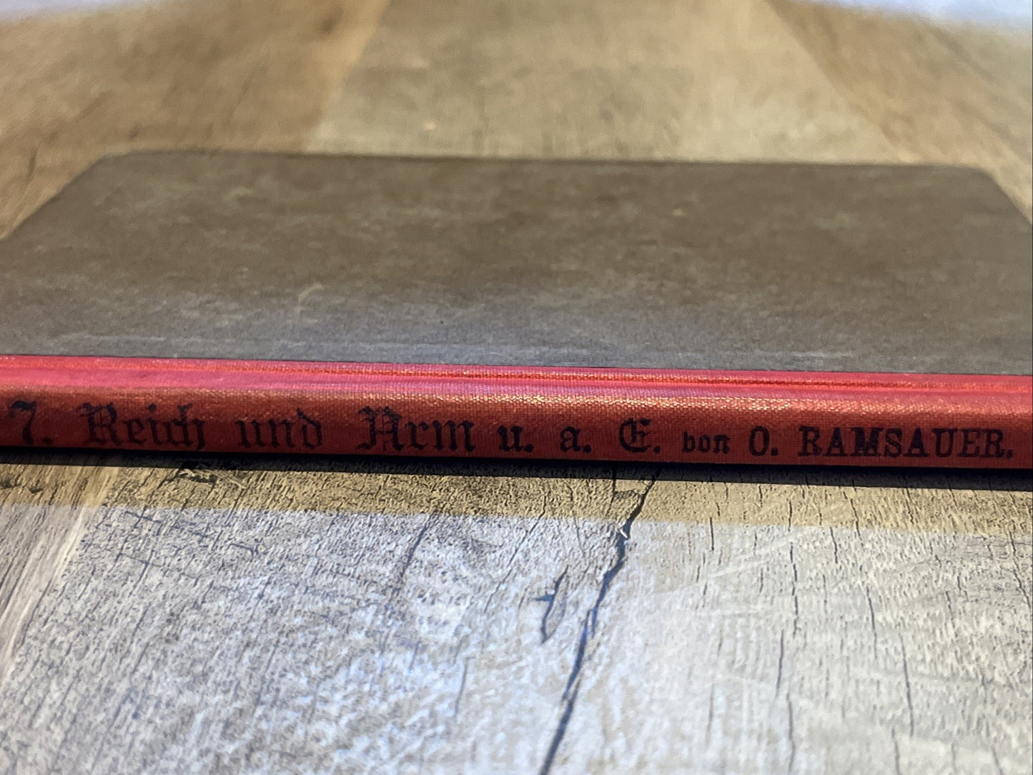 REICH & ARM und andere Erzahlungen Don O Ramsauer (German Edition ) Rare