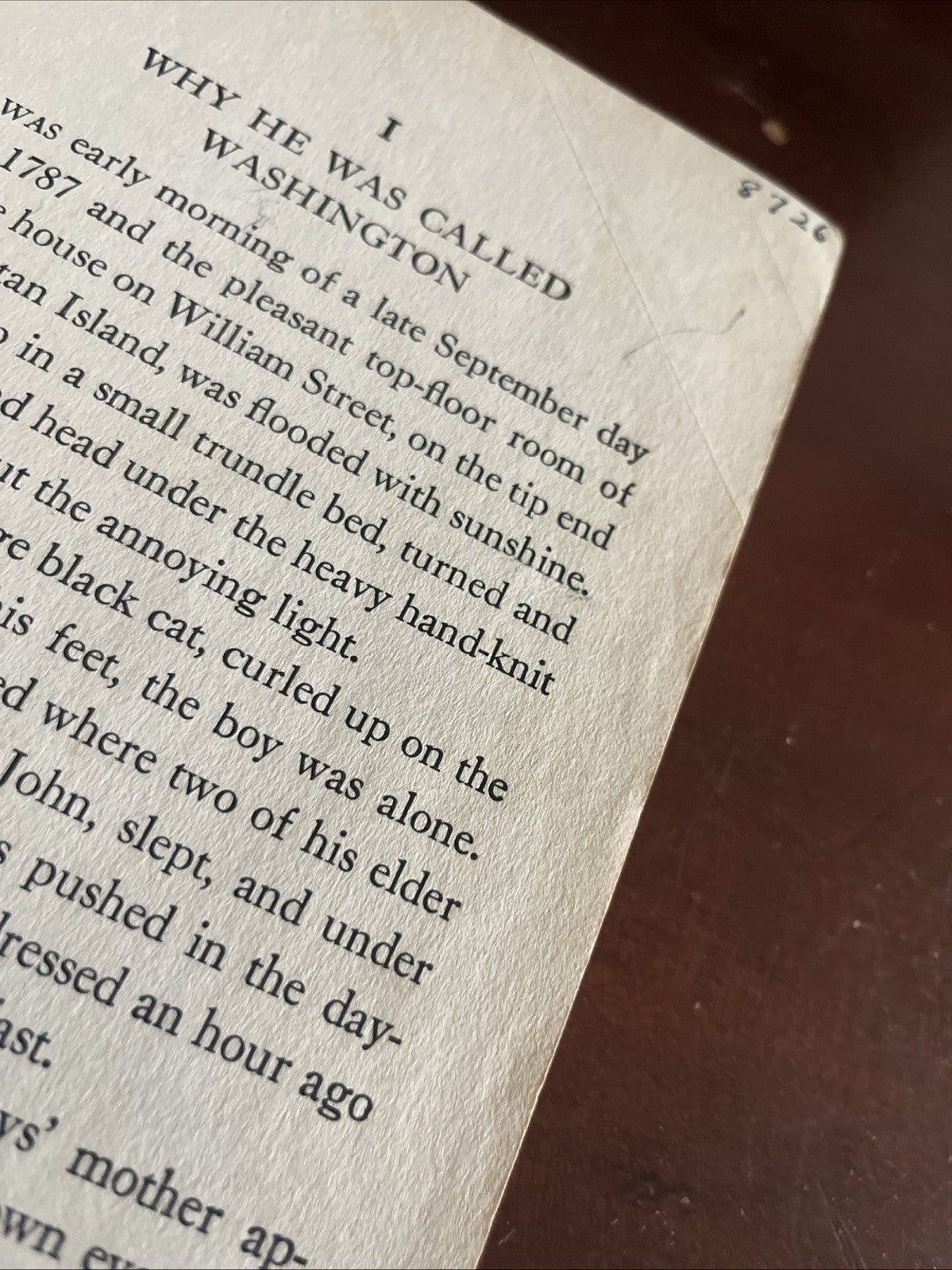 Washington Irving 1 st Edition Boy of Old New York Mabel Cleland Widdener 1946