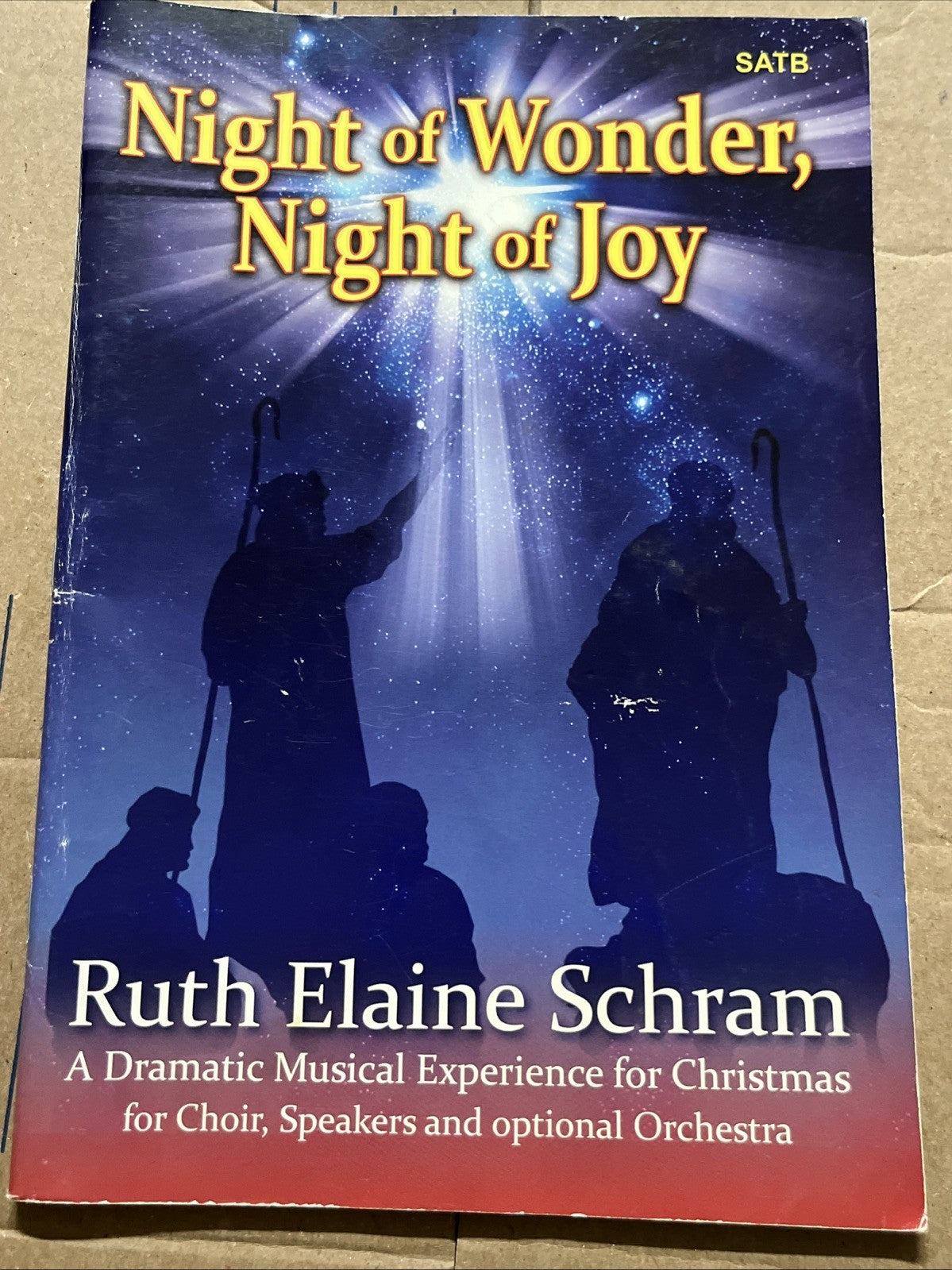Night of wonder, Night of joy by Ruth Elaine Schram and Noel Lorenz