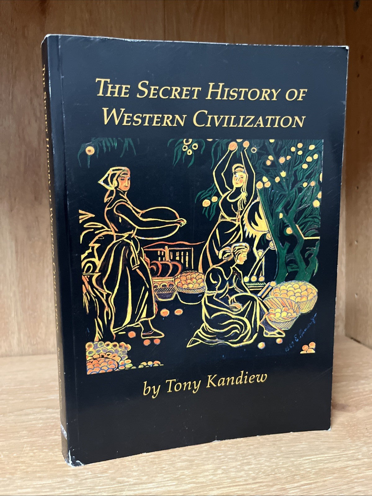The Secret History of Western Civilization by Tony Kandiew (English) Paperback B
