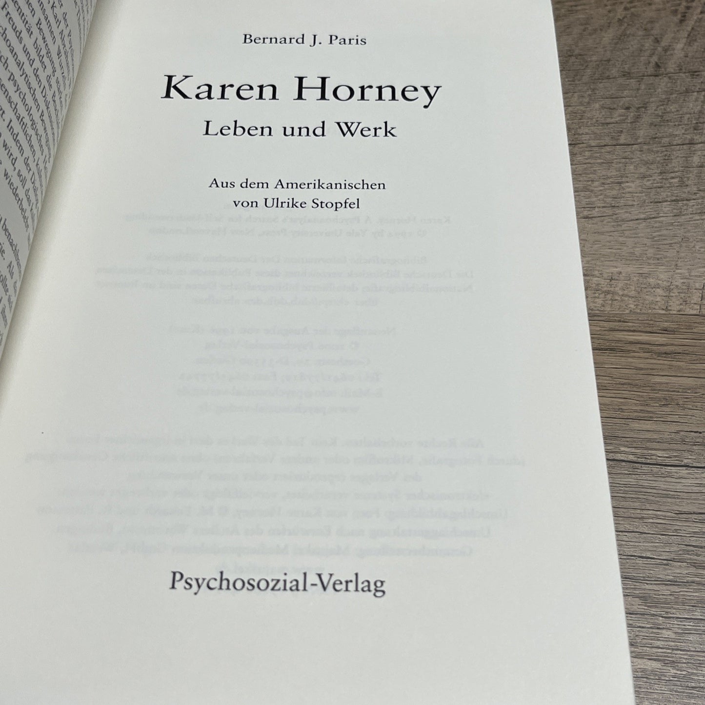 Bernard J. Paris Karen Horney: Leben und Werk (Bibliothek der Psychoanalyse)