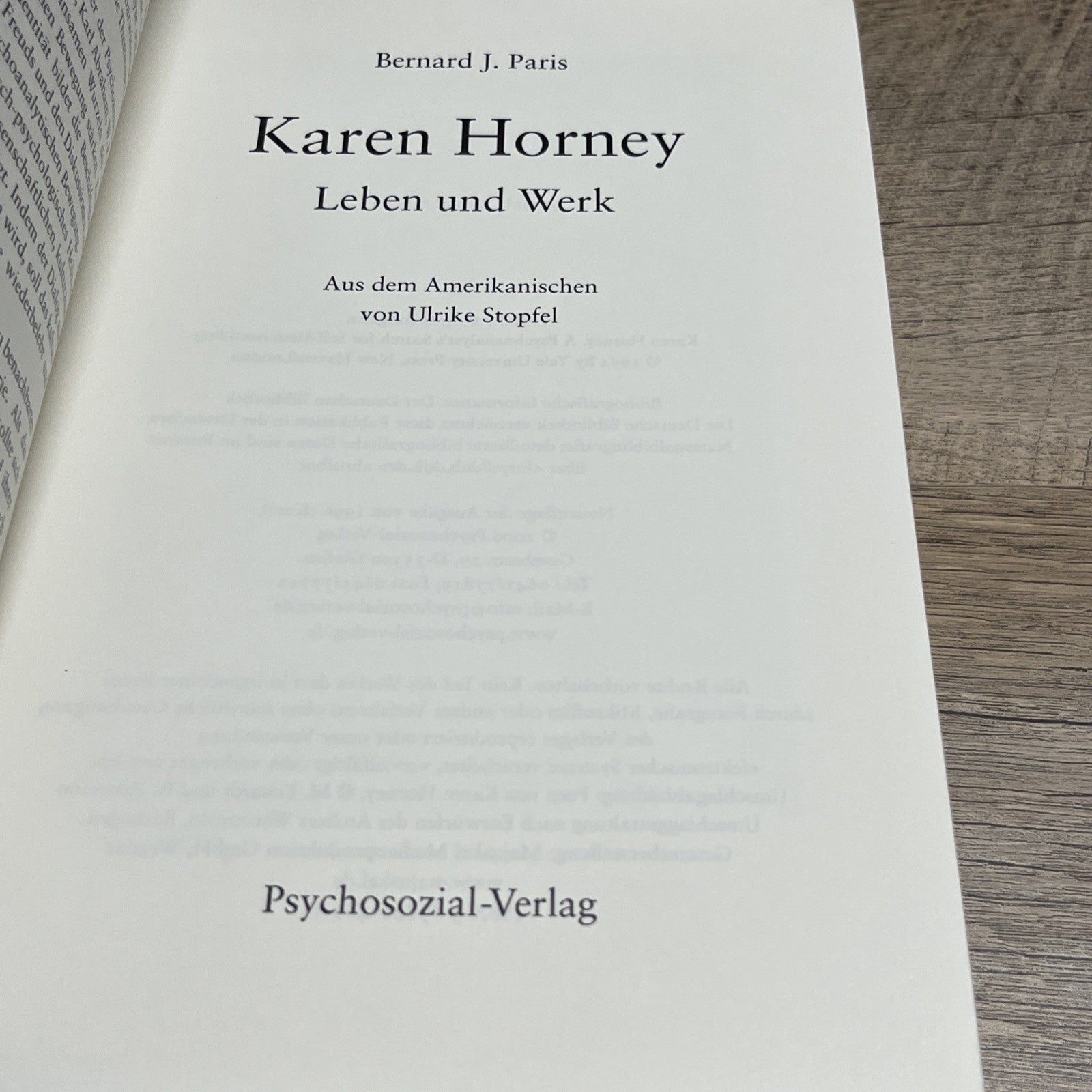 Bernard J. Paris Karen Horney: Leben und Werk (Bibliothek der Psychoanalyse)