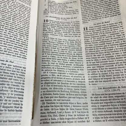 Bíblia del Ministro -La Santa Biblia  Antiguo y Nuevo - Imitation Leather, Vida