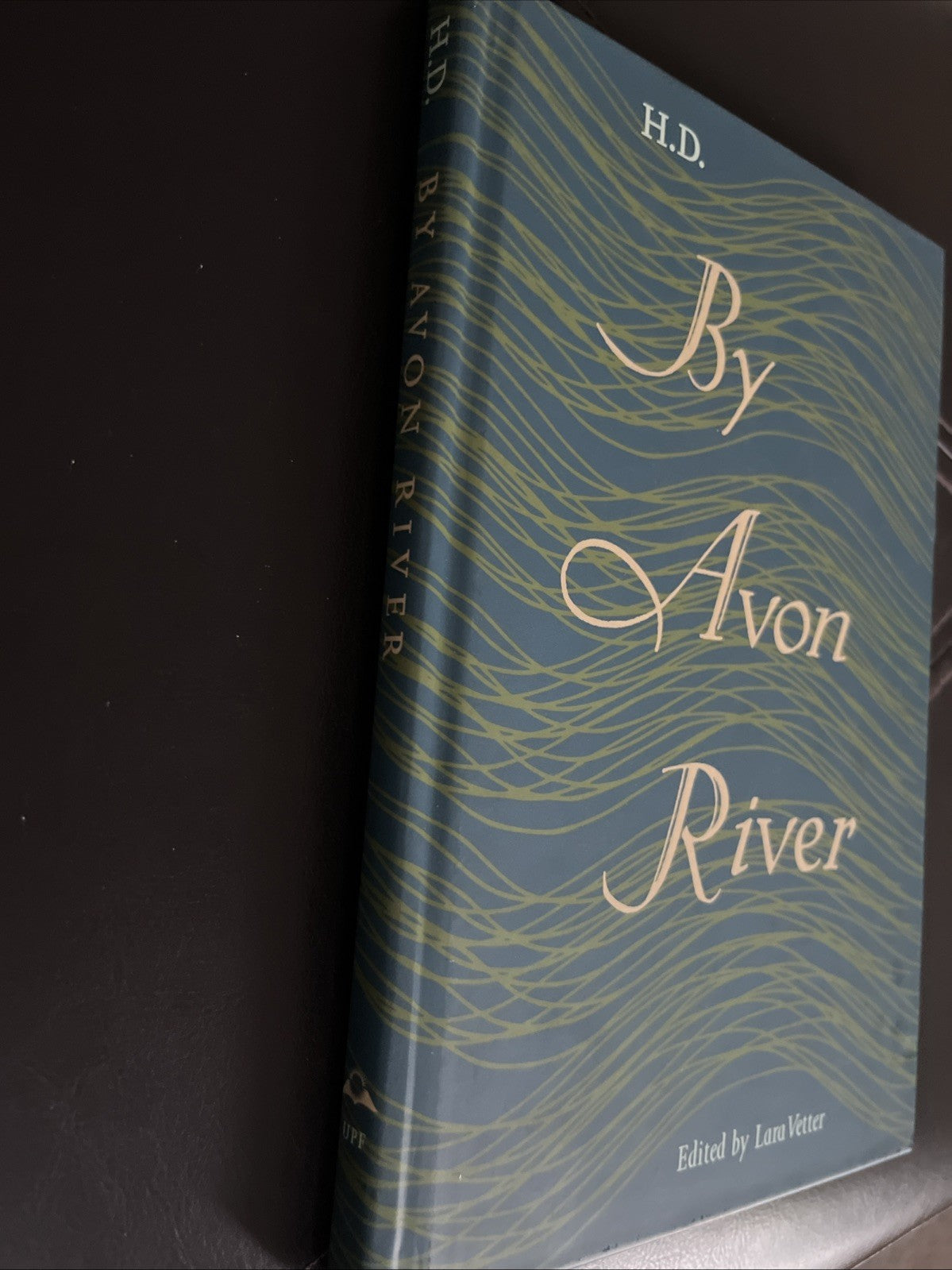 BY AVON RIVER By H.d. & Lara Vetter - Hardcover *Excellent Condition*