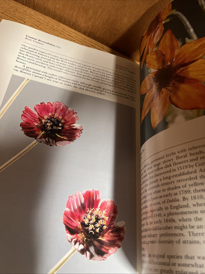 The Glass Flowers at Harvard by Richard Evans Schultes & William A. Davis pb