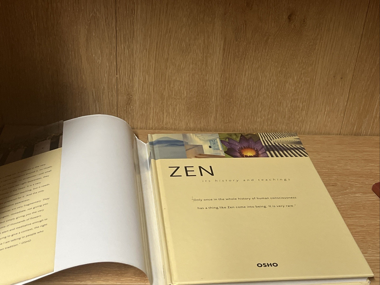 Zen Book Lot of 2  Wolfgang Kopp & OSHO Zen History Teaching Human Consciousness