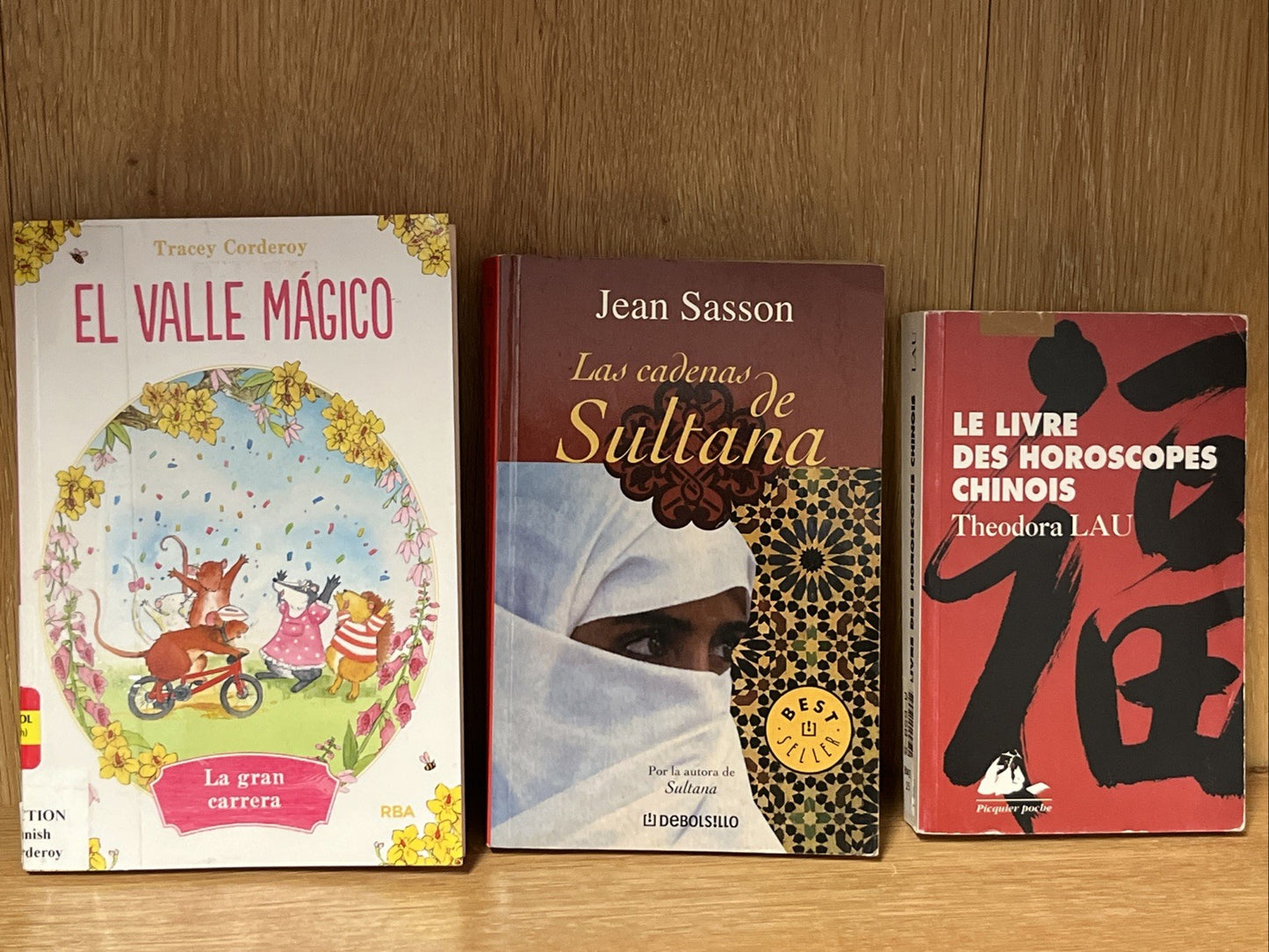 Lot of 3 Spanish Books