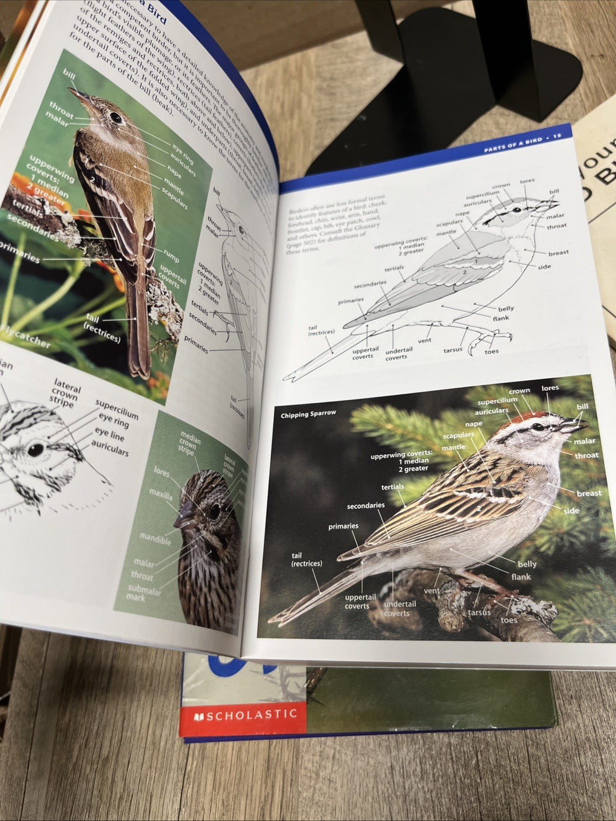 Bird Books Lot of 3 Audubon Society, NWF, The Pet Library LTD