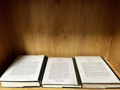 KALHANAS RAJATARANGINIA CHRONICLE OF THE KINGS OF KAŠMIR Volumes 1-3 Sets