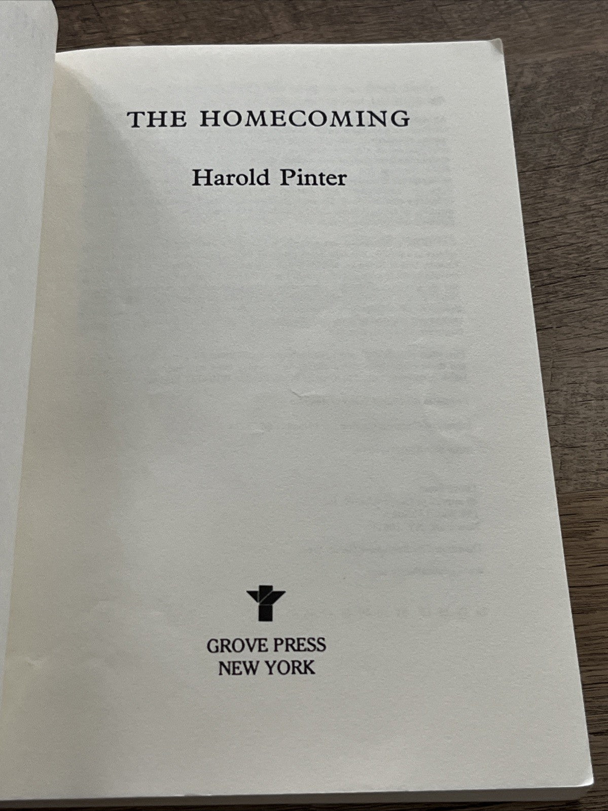 Homecoming: A Play by Harold Pinter (1966, Trade Paperback)