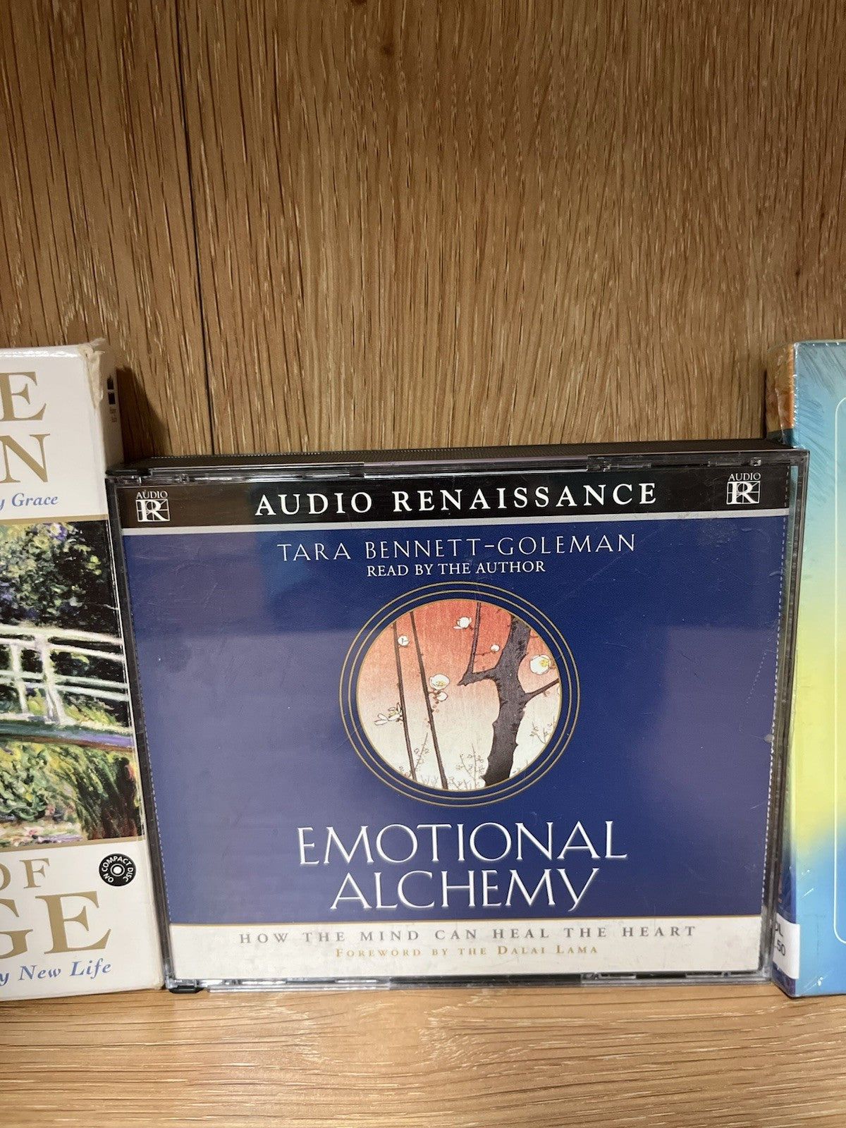 Various Artists Spiritual Essence Of Being,Heal,Change, Emotional Alchemy 20-CD