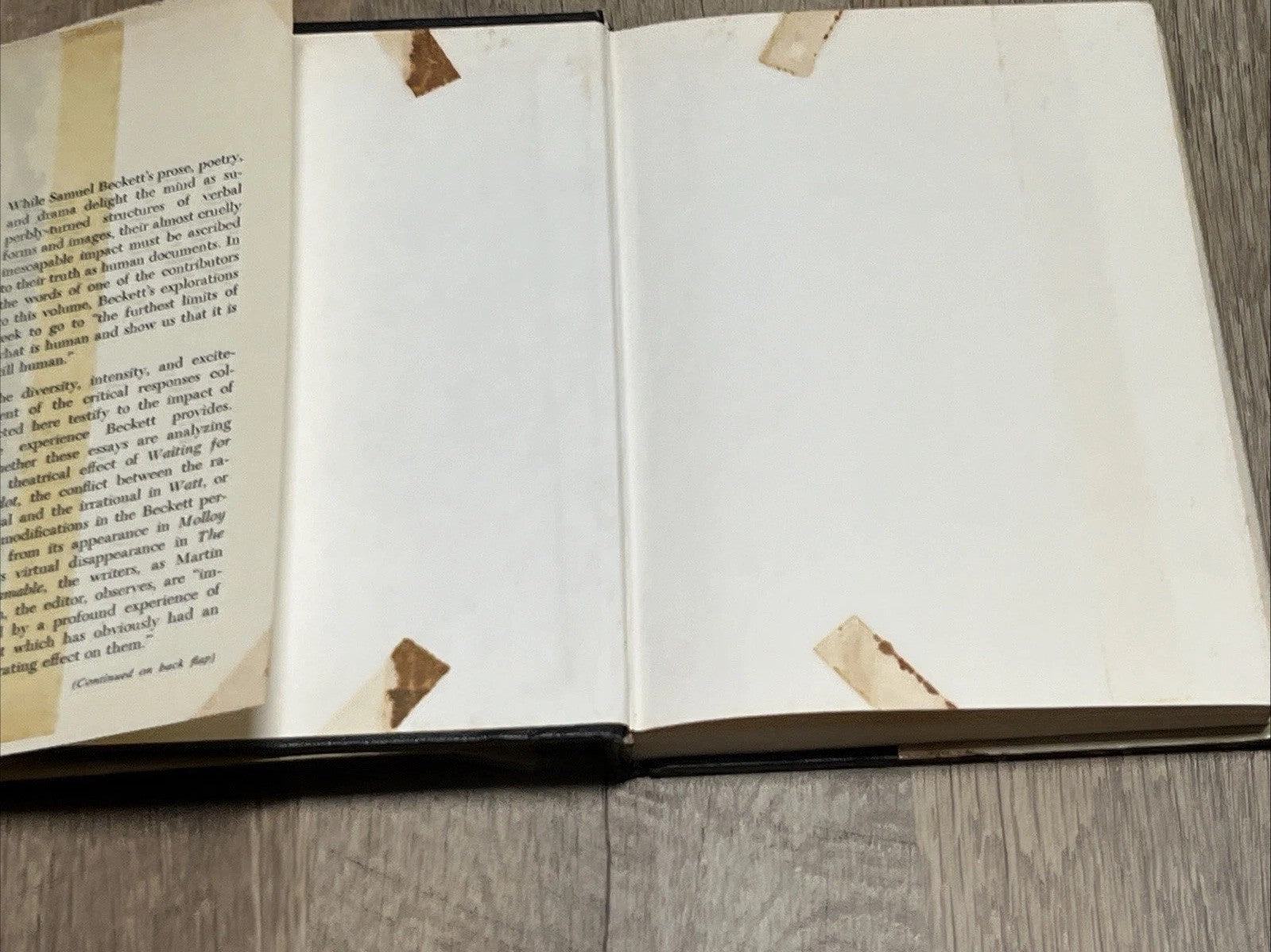 Samuel Beckett- Collection of Critical Essays 1st Edition Martin Esslin 1965
