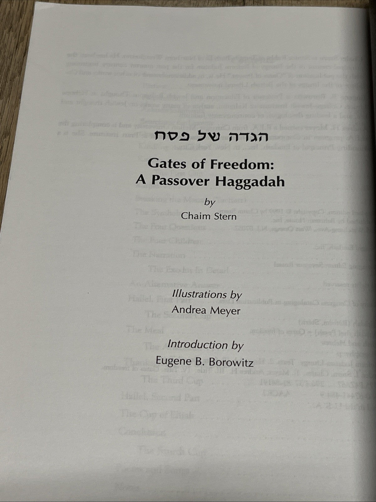 הגדה של פסח Gates of Freedom Haggadah By Chaim Stern