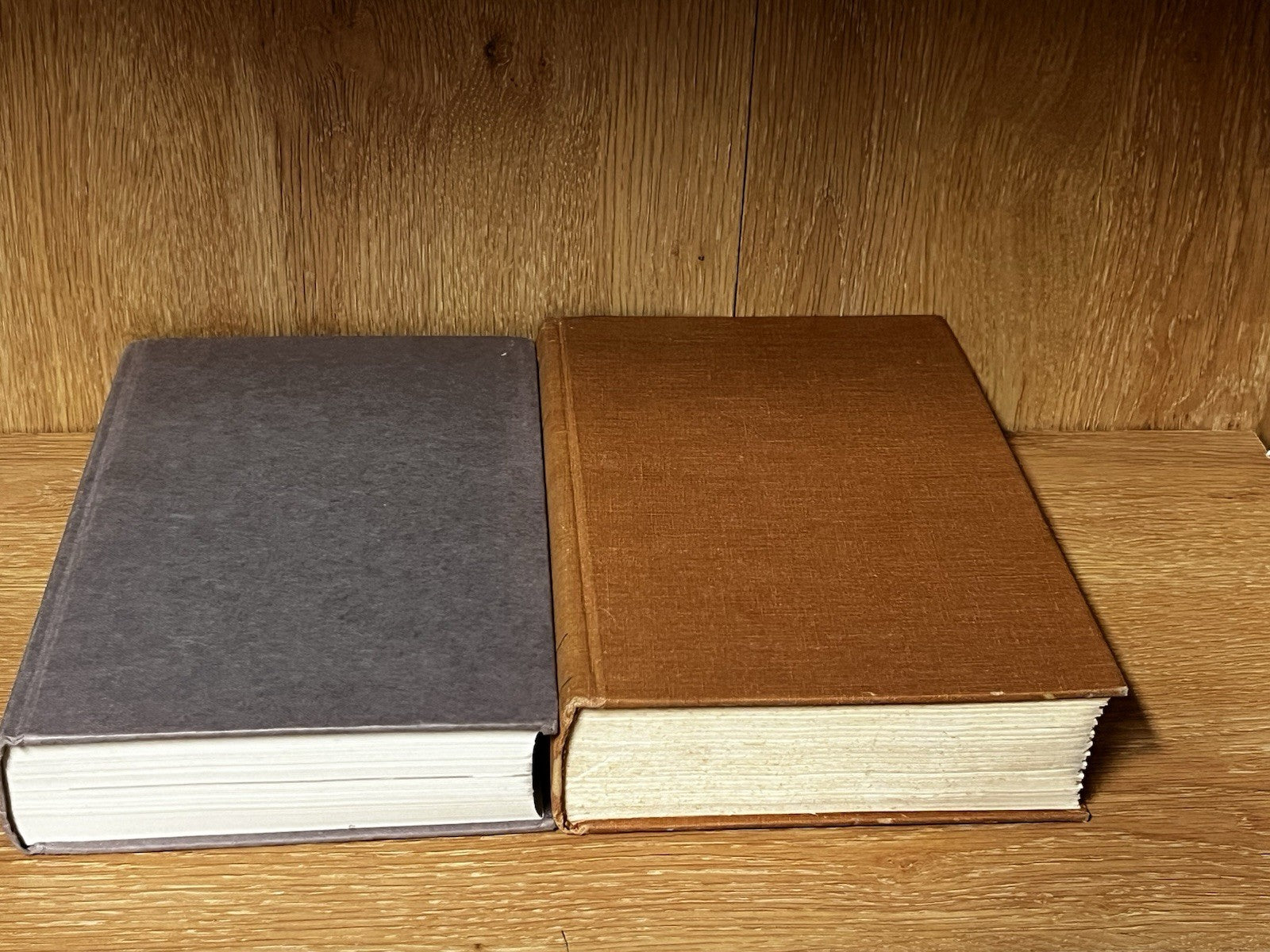 Augustus John : A Biography by Michael Holroyd  1975 & 1996 Ed Lot of 2