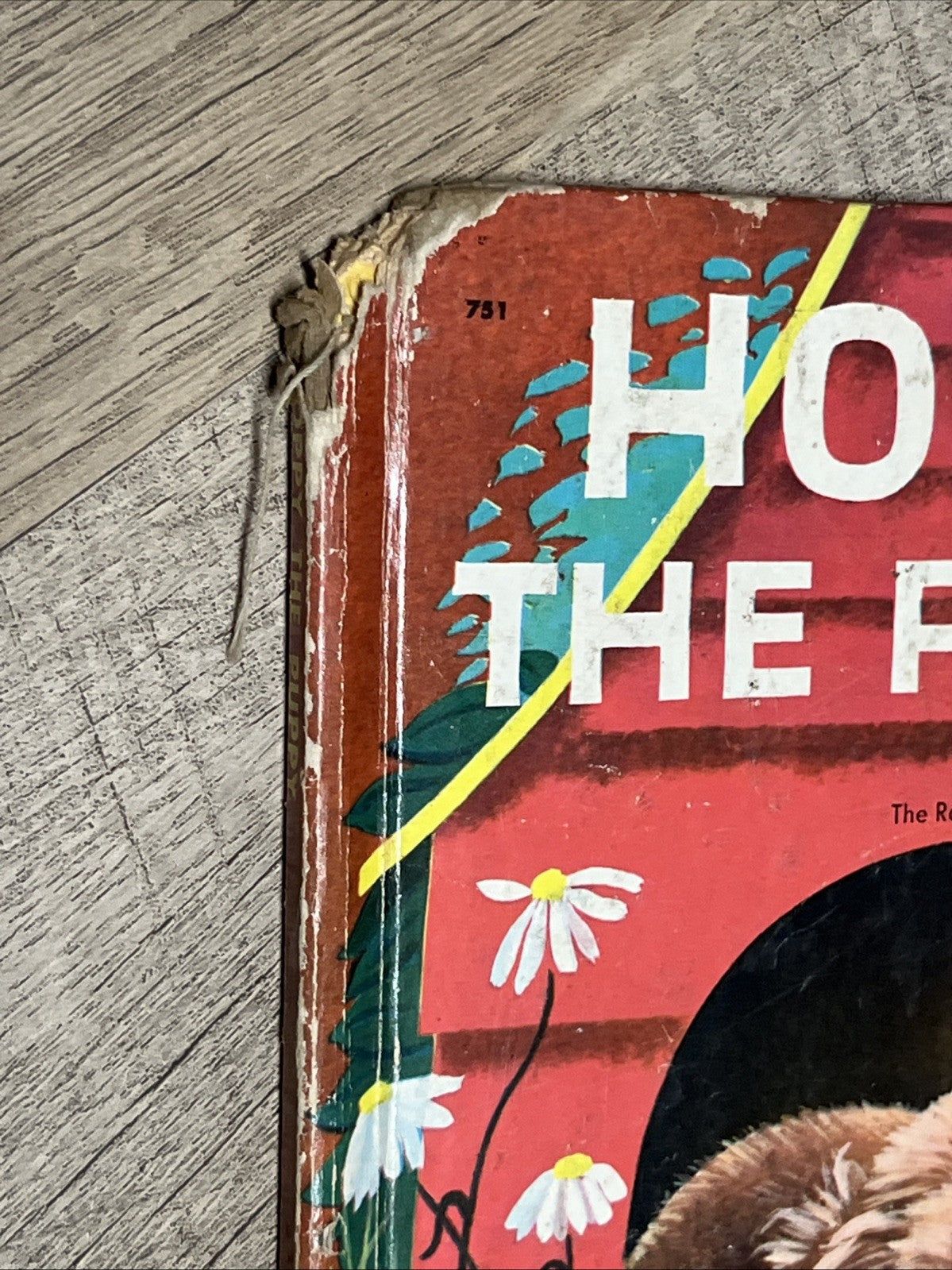 Wonder Books : Hoppy The Puppy By Barbara Bates 1950 ~ ACCEPTABLE