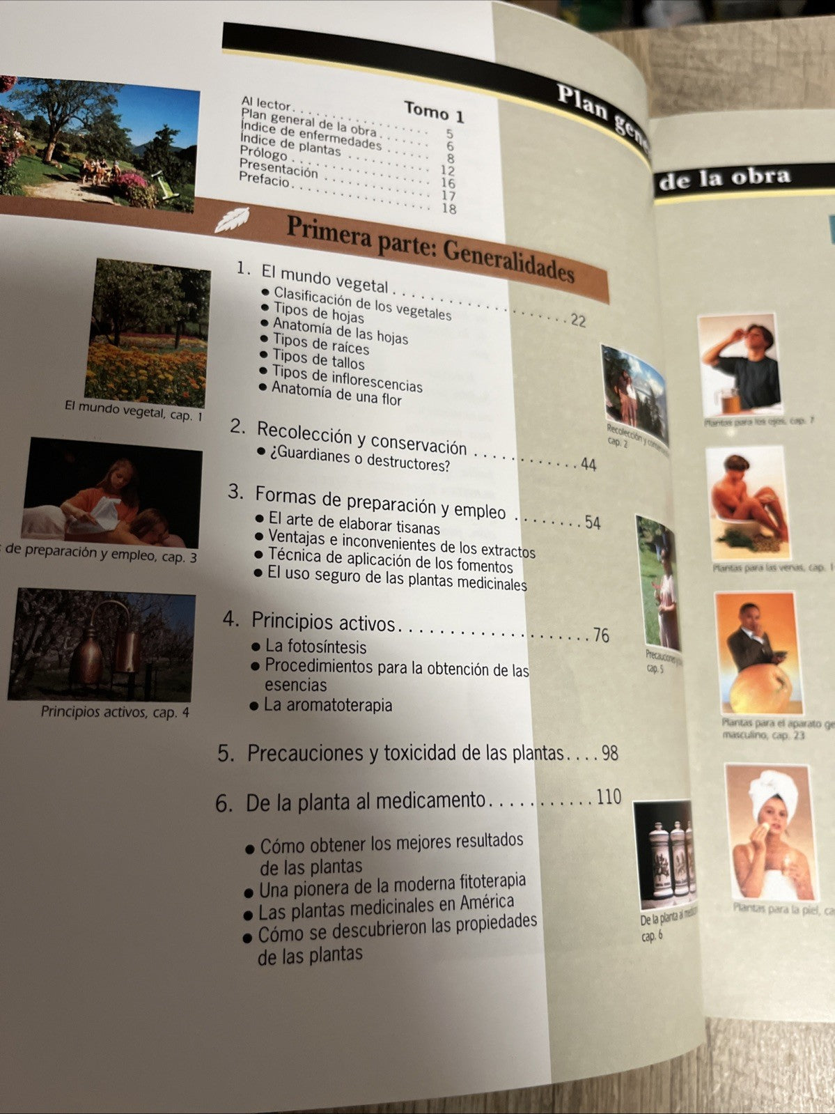 Enciclopedia de las Plantas Medicinales (Spanish Edition) - Vol 1 & 2- Dr. Roger