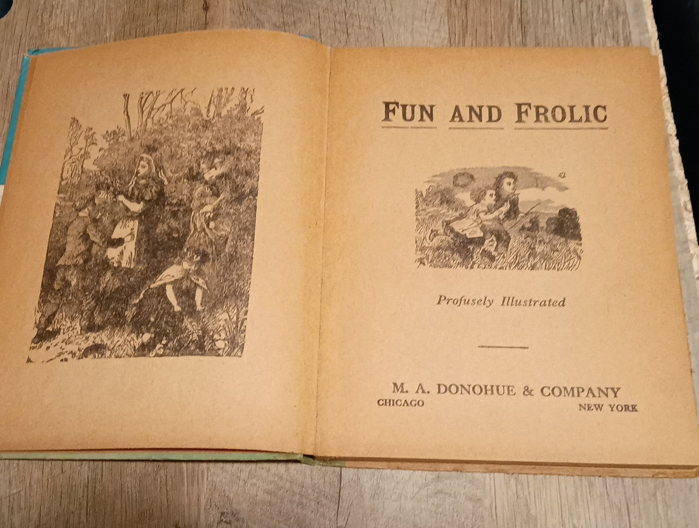 Fun and frolic by m.a. donohue & co bright eye series #210 profusely illustrated