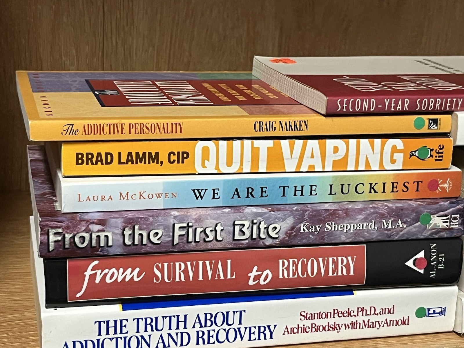 Lot of 12 Surviving  Addiction Recovery Alcoholic Sober Quit Drinking & Vaping