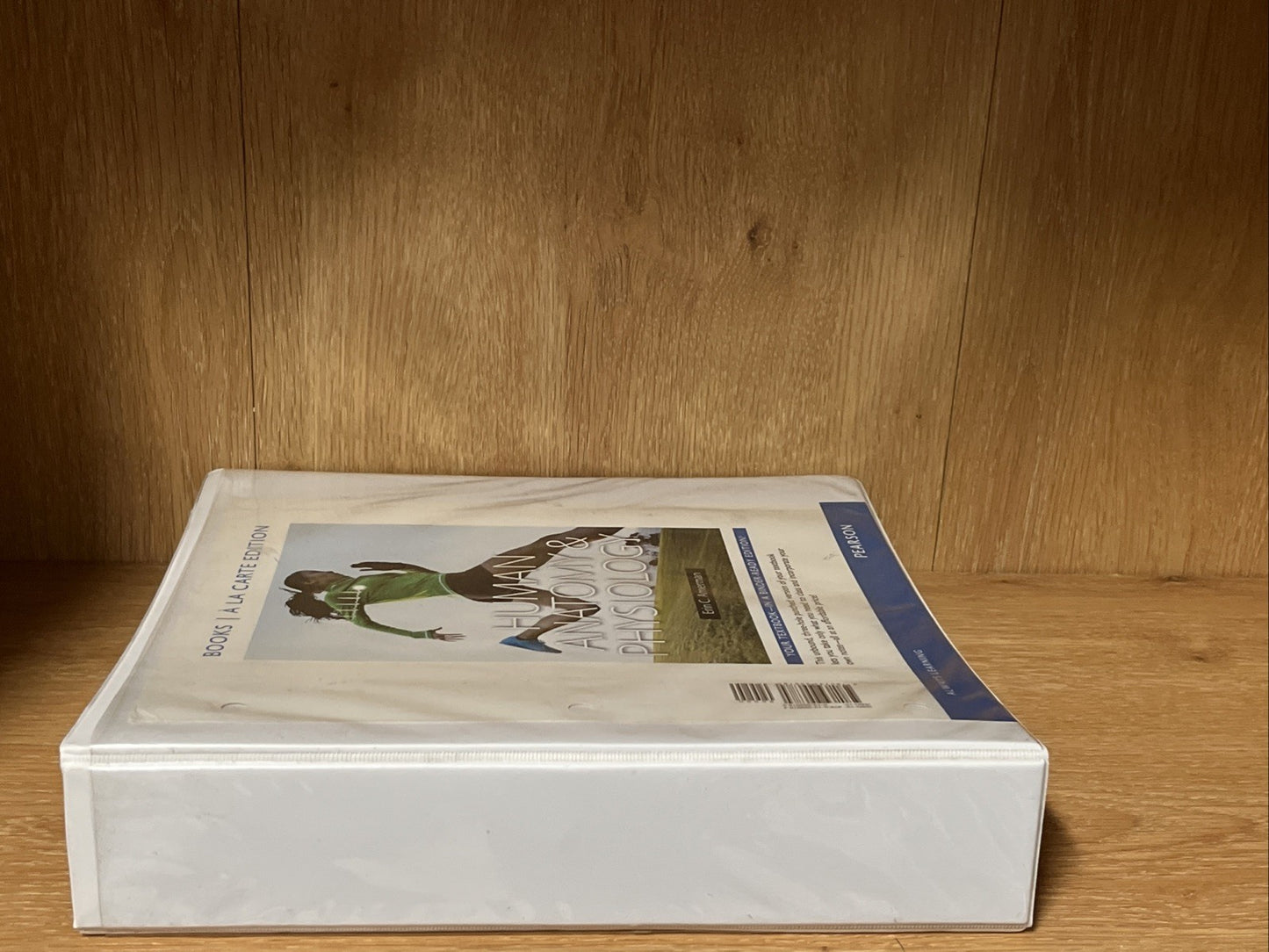 Human Anatomy & Physiology, Books a la Carte Edition by Amerman