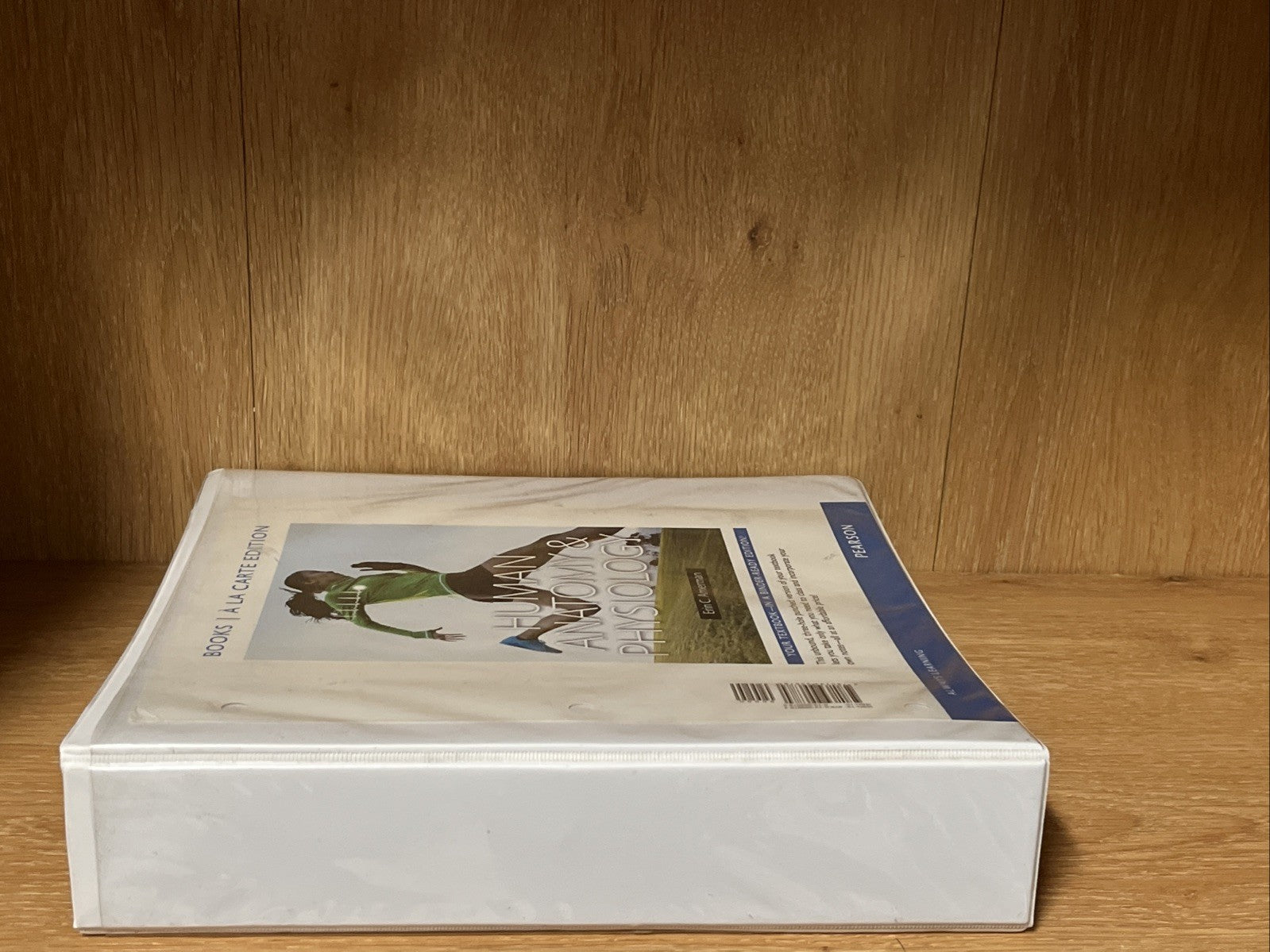 Human Anatomy & Physiology, Books a la Carte Edition by Amerman