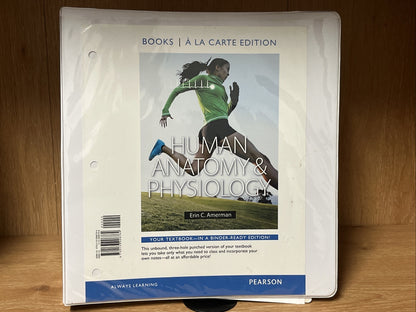 Human Anatomy & Physiology, Books a la Carte Edition by Amerman