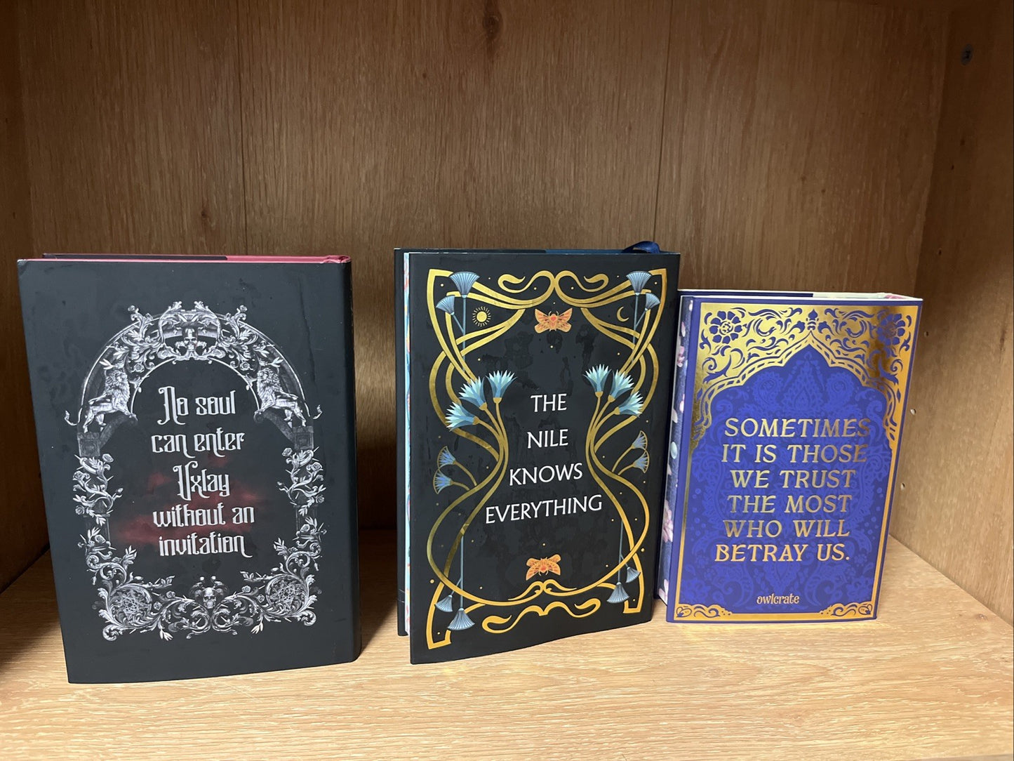 Fairytale Book Lot of 3 SIGNED Owlcrate, Isabel Ibanez, Varga,Girma Special Ed