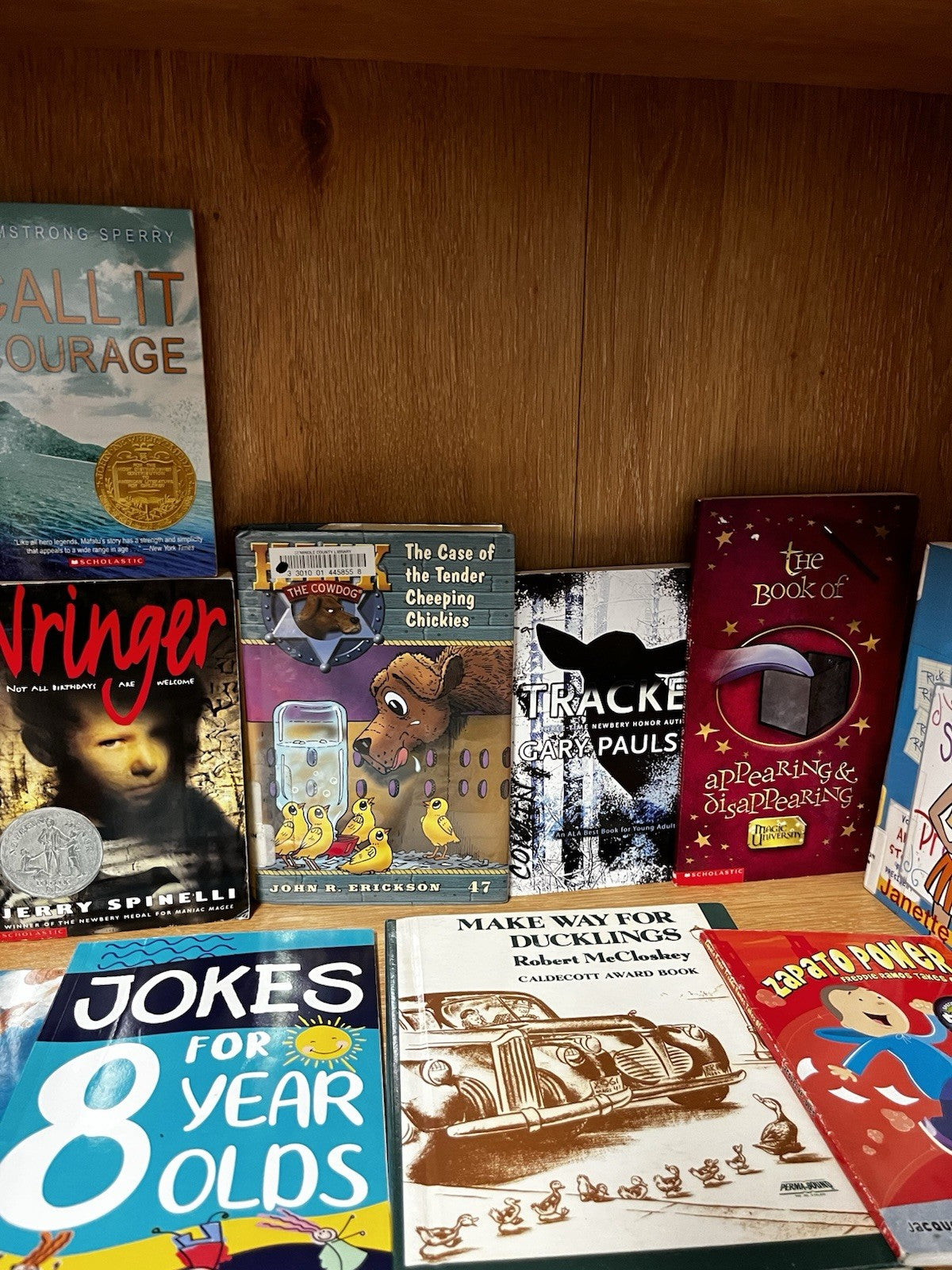 Preteen Books Lot 20 Random