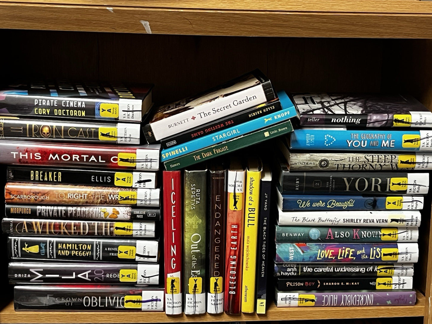 Lot of 20 Mixed Young Reader, Teen, YA B Preteen,Young Adult Books For Girl-Boy
