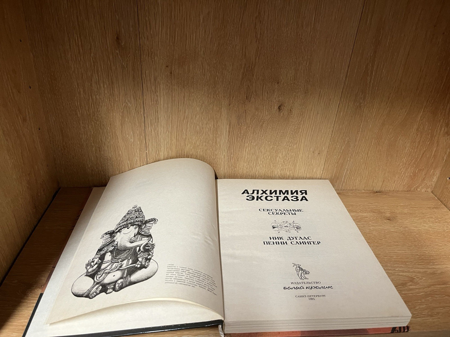Алхимия экстаза (Alchemy of Ecstasy) is a 1995 Russian edition