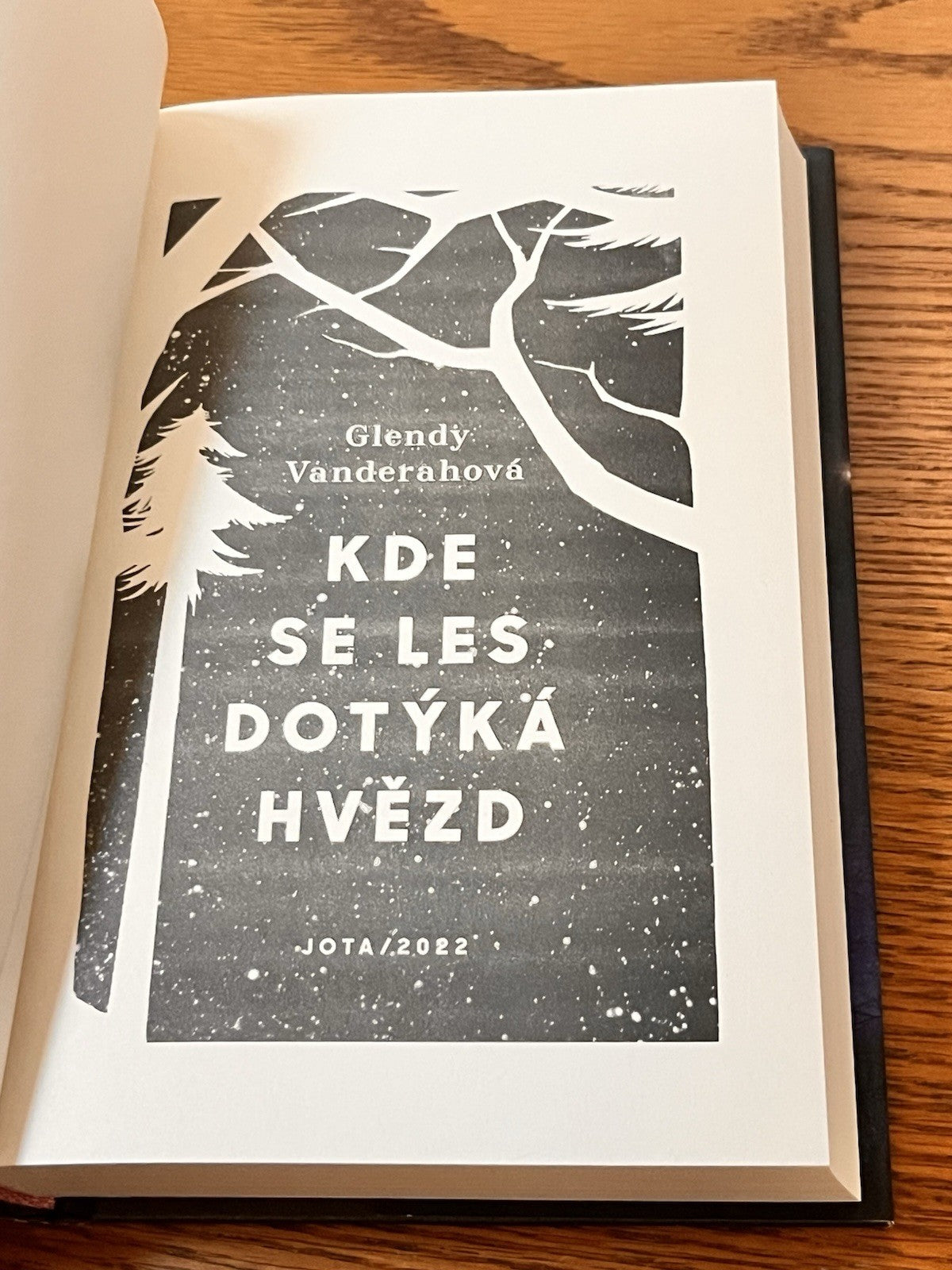Kde se les dotýká hvězd Glendy Vanderahova |  Tomáš Bíla