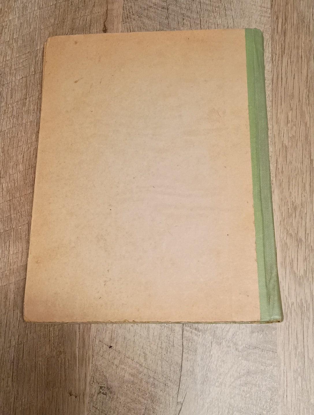 Fun and frolic by m.a. donohue & co bright eye series #210 profusely illustrated