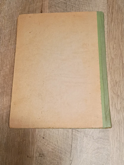 Fun and frolic by m.a. donohue & co bright eye series #210 profusely illustrated