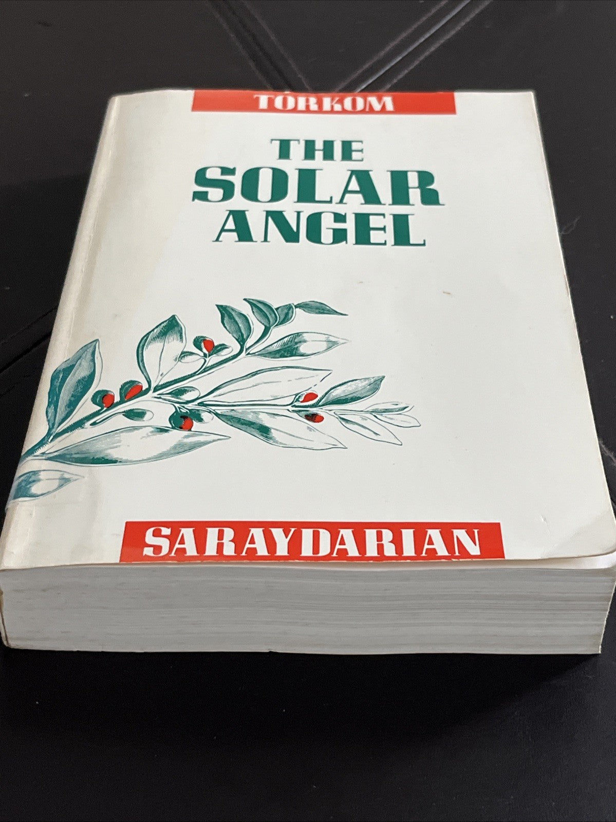 The Solar Angel 1st Edition By Torkom Saraydarian 1990