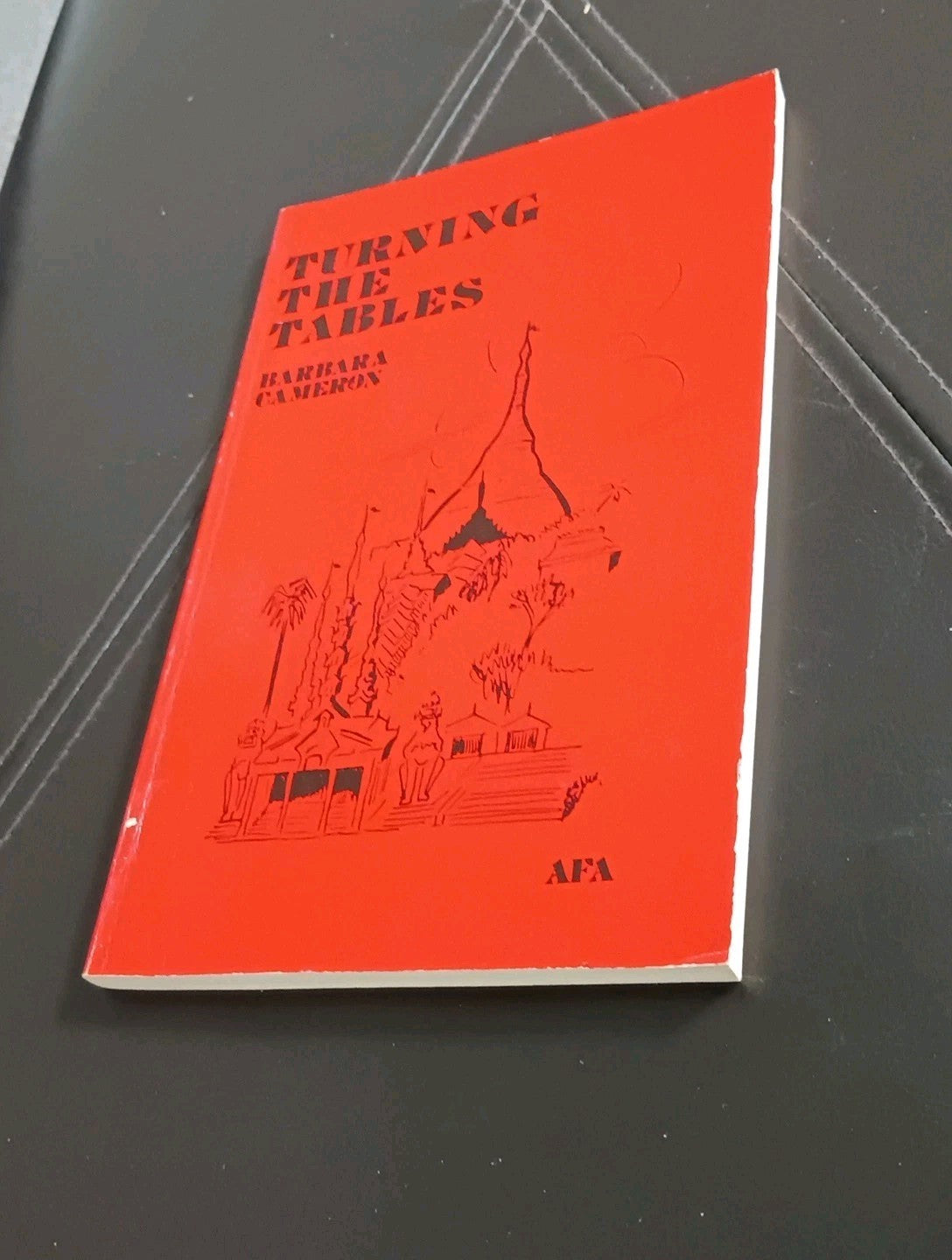 Turning the Tables, A Mitigation Manual 1st Ed Barbara Cameron 1984 AFA USA