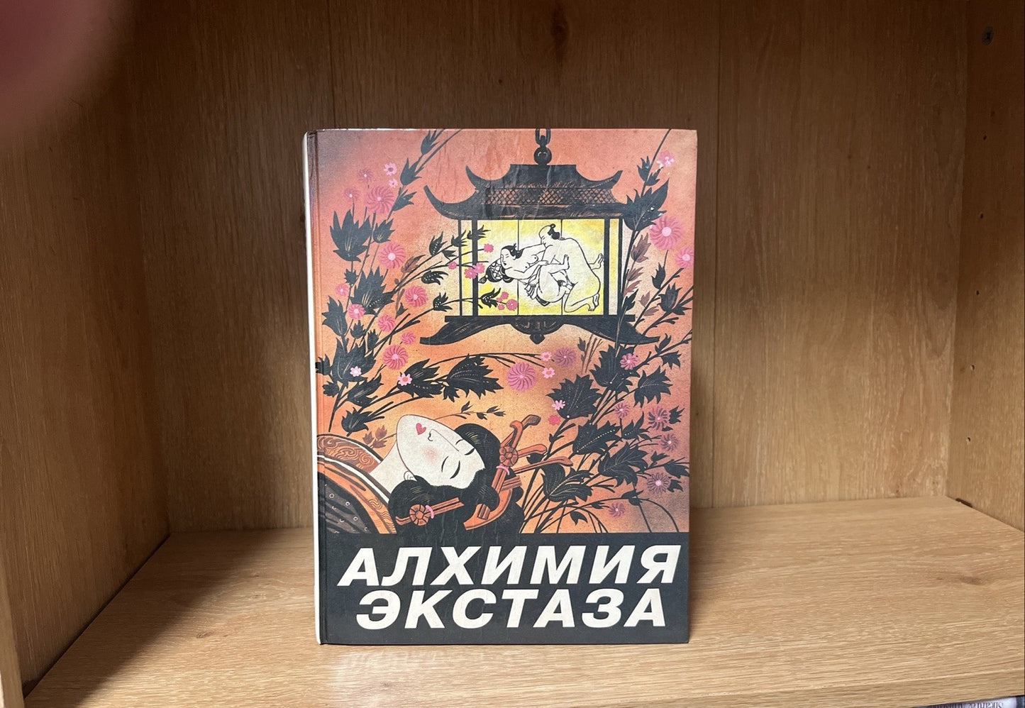Алхимия экстаза Сексуальные секреты Alchemy of Ecstasy. Sexual Secrets