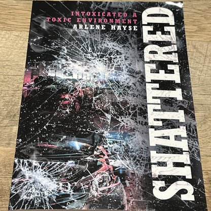 Shattered: Intoxicated A Toxic Environment - Paperback By Hayse, Arlene - GOOD