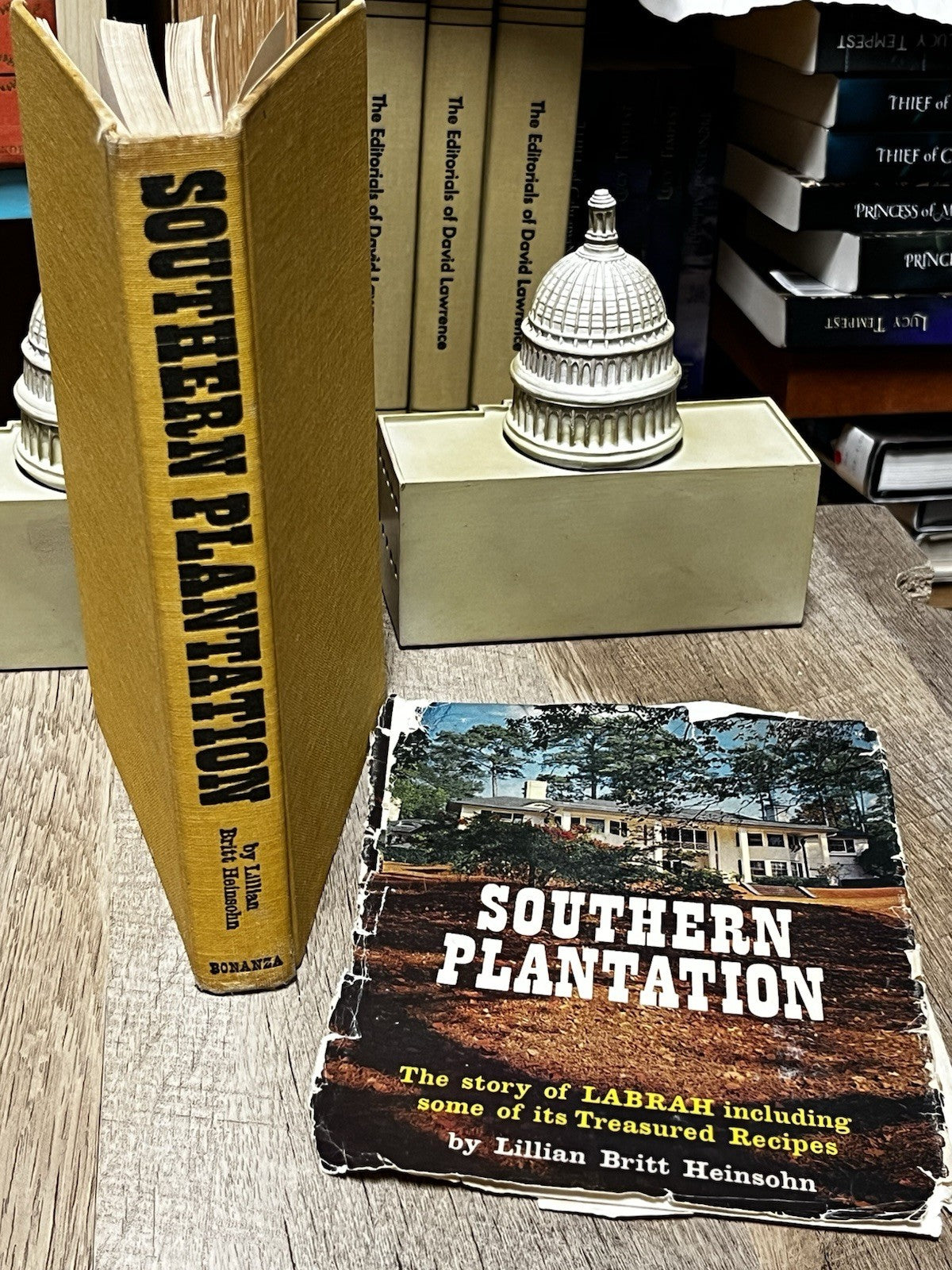 Southern Plantation 1st Edition Lillian Britt Heinsohn 1962