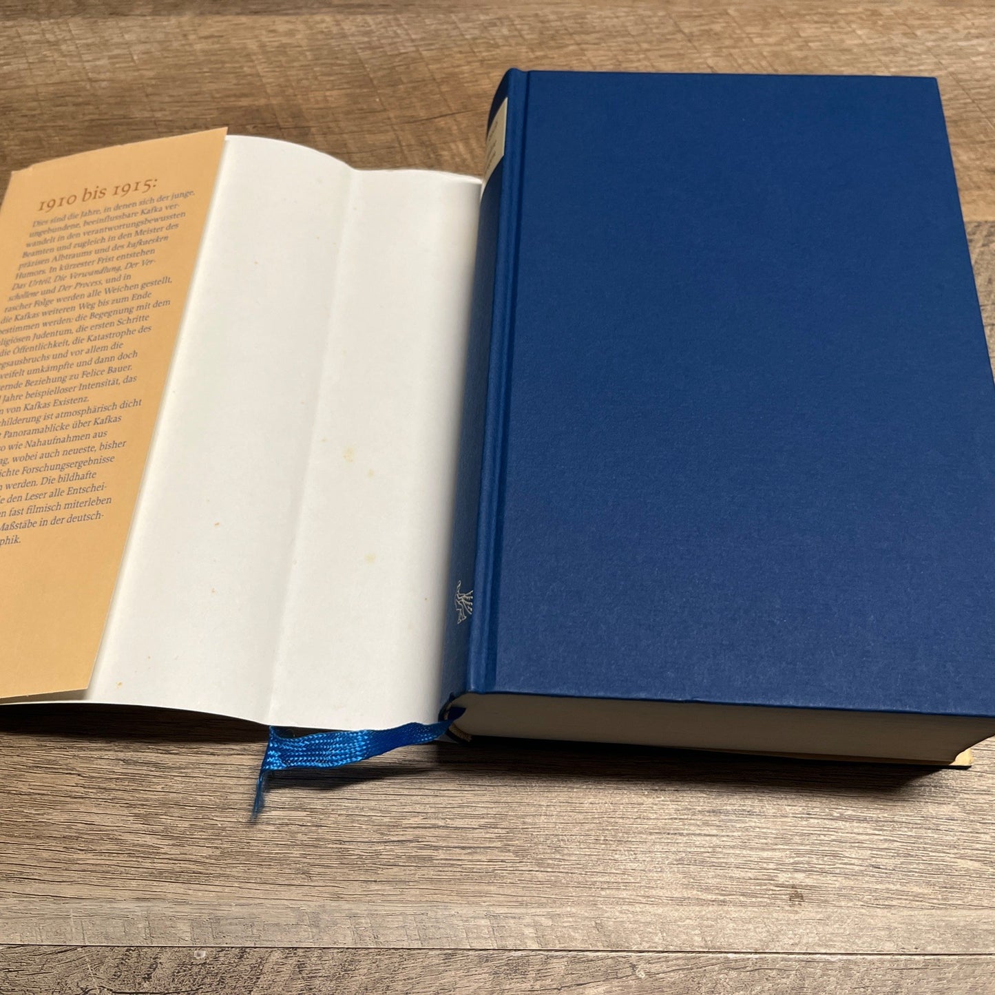 Reiner Stach Kafka. Die Jahre der Entscheidungen S.Fischer (Spanish Edition)