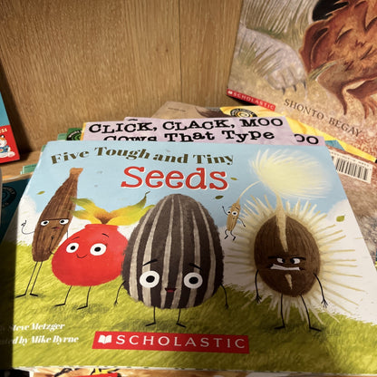 Scholastic Picture Book Lot 10 RANDOM