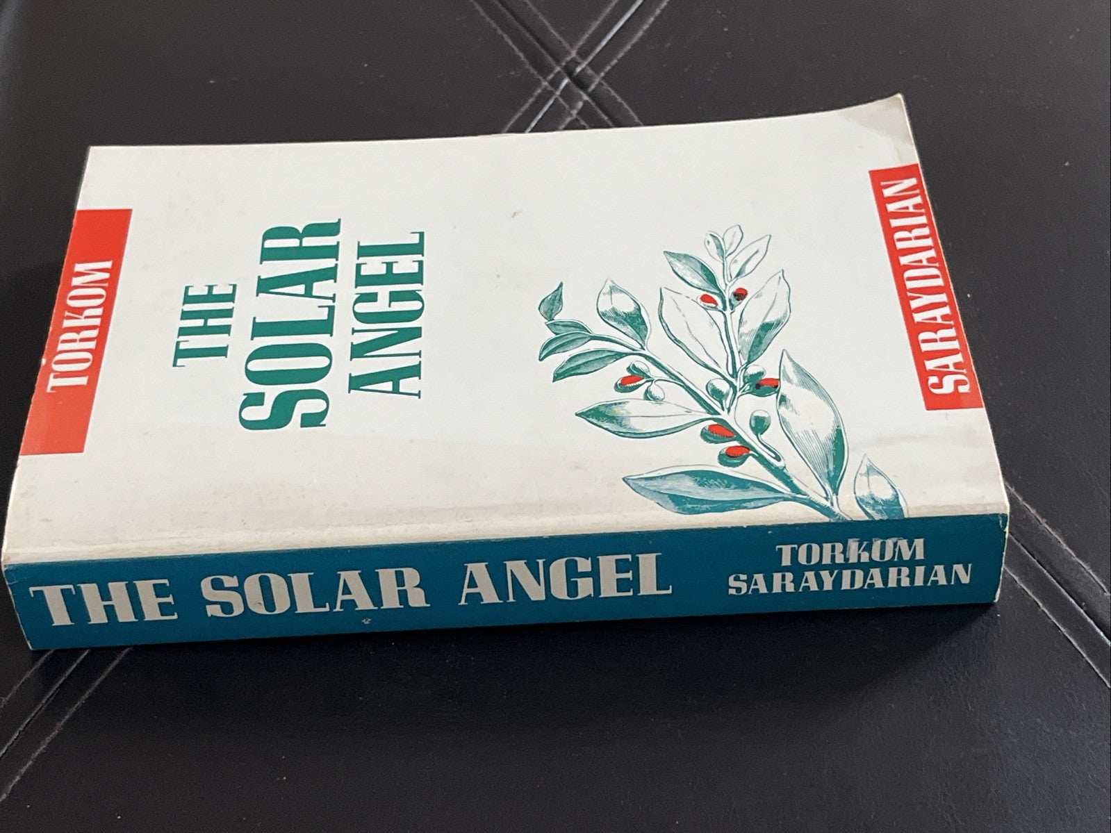 The Solar Angel 1st Edition By Torkom Saraydarian 1990