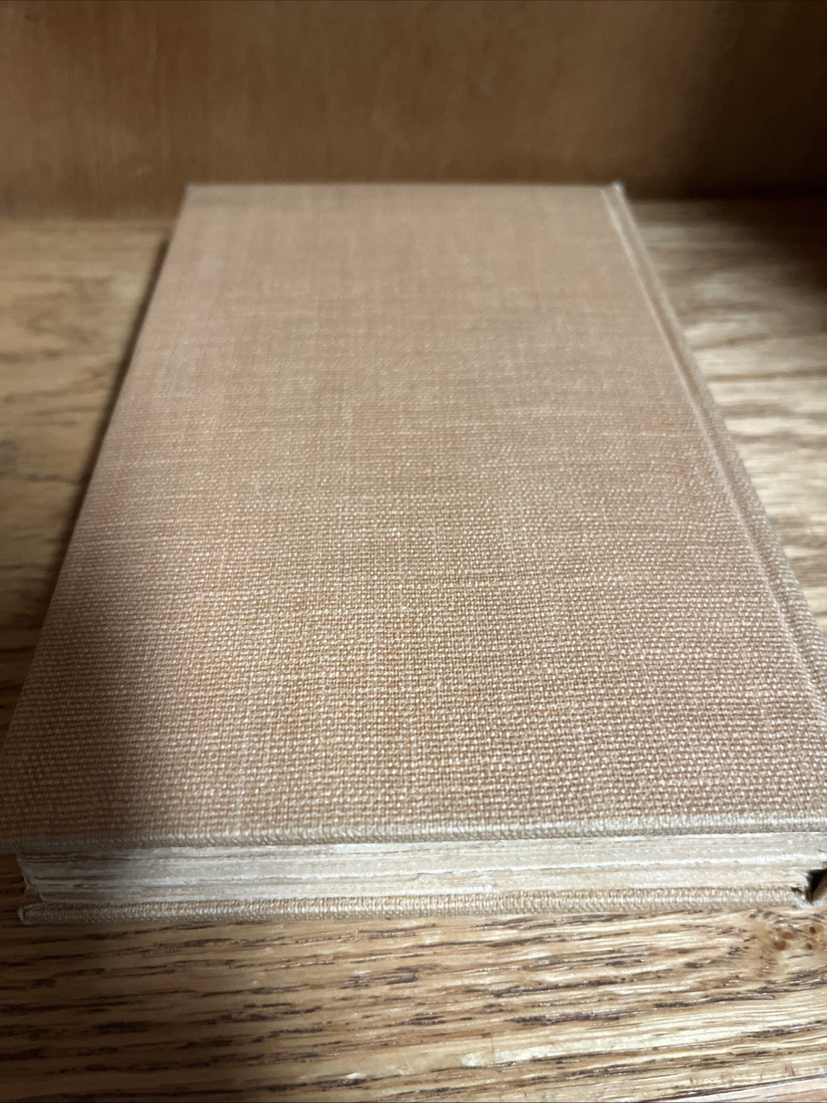 The Critic in the Orient By George Hamlin Fitch / 1st Edition ( 1913 )