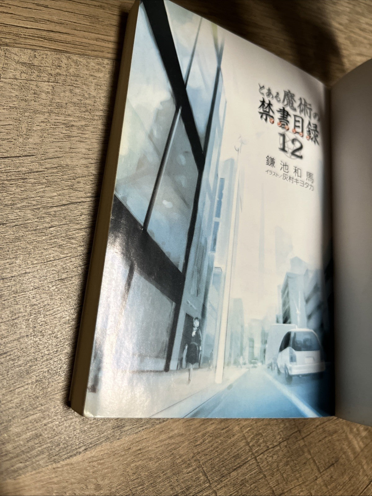 A Certain Magical Index Vol.12 Japanese Light Novel Book Comic Anime Manga
