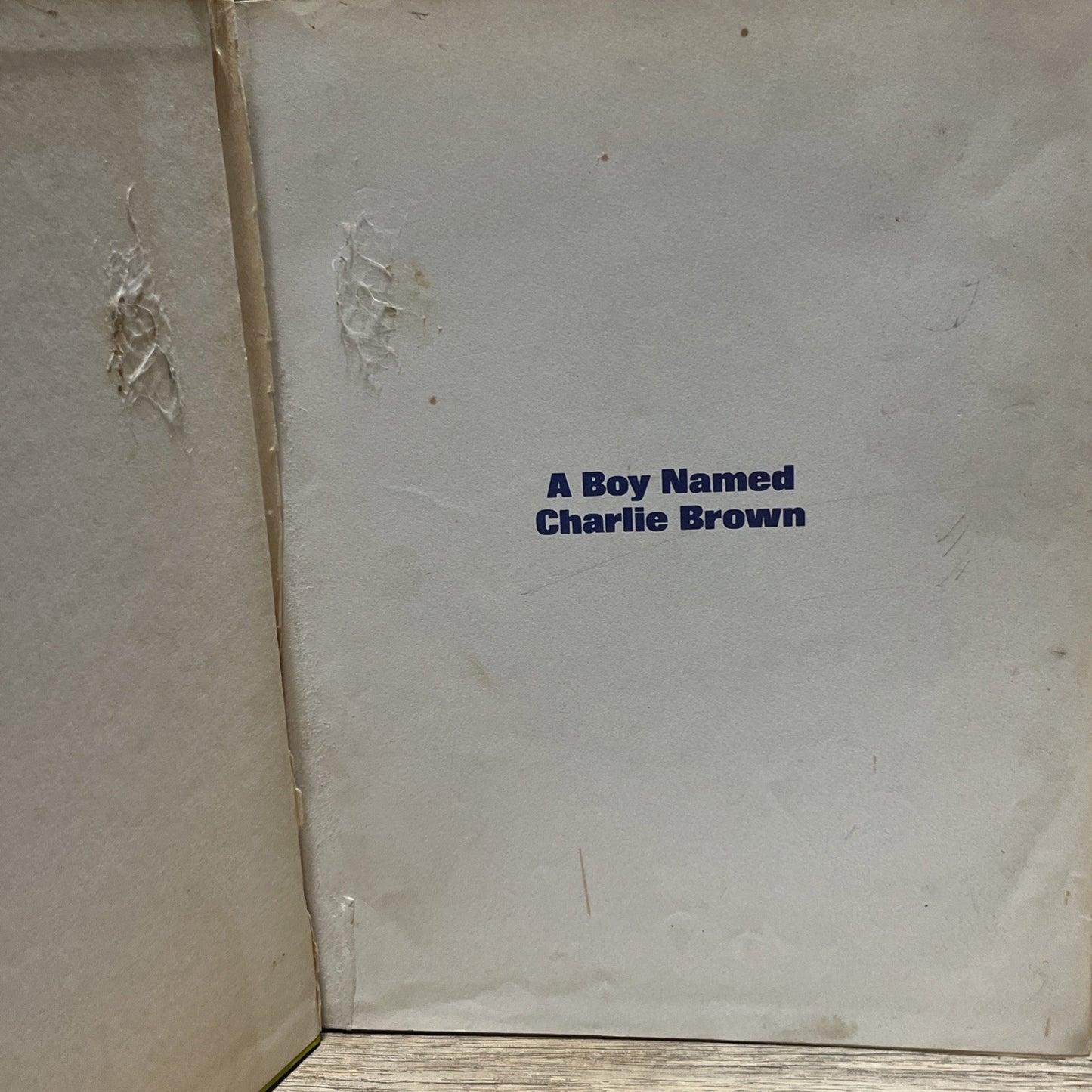 A Boy Named Charlie Brown by Charles M. Schulz 1969 Hardcover